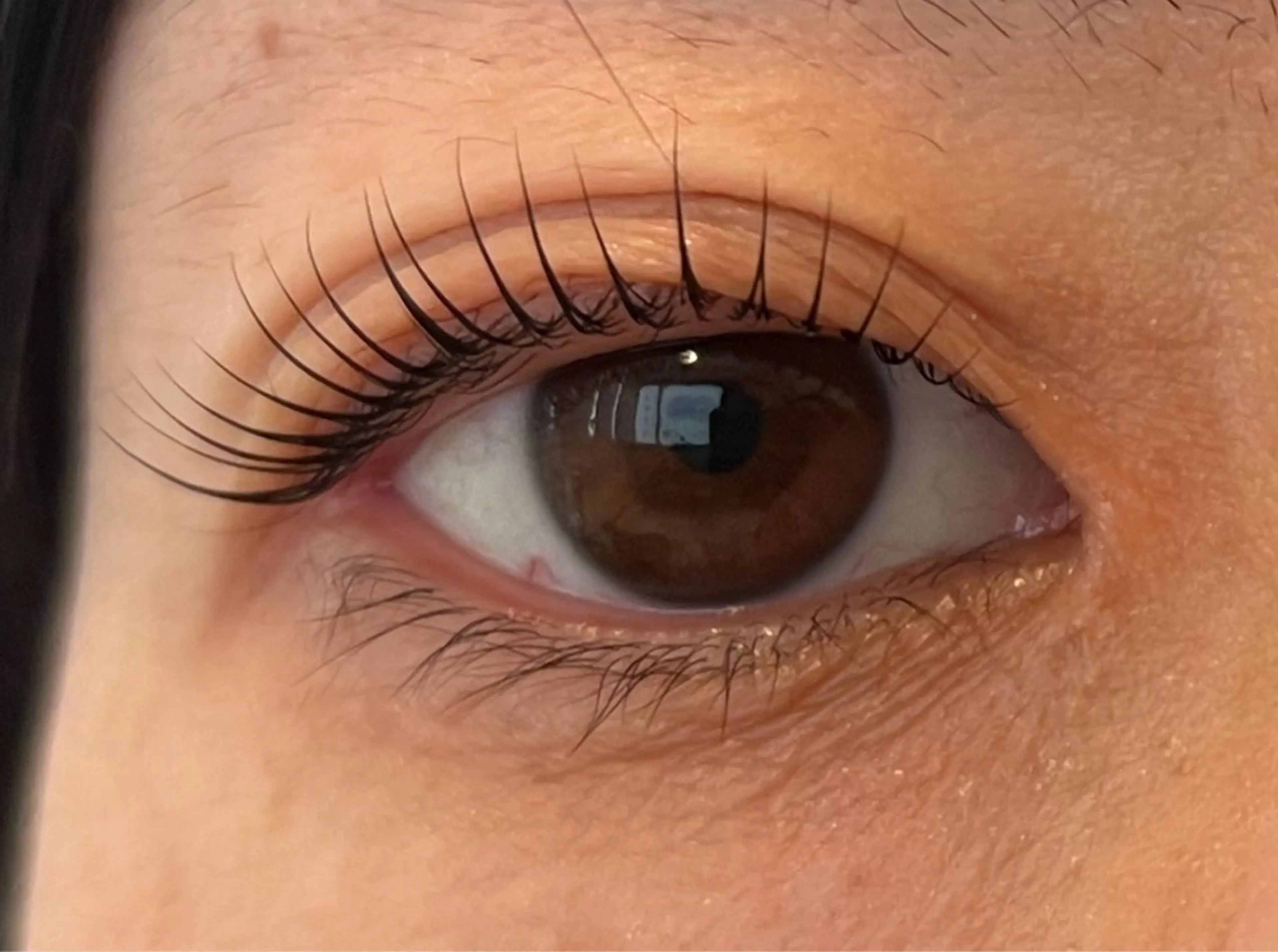 【まつ毛パーマ🐥】コーティング、トリートメント付きの写真