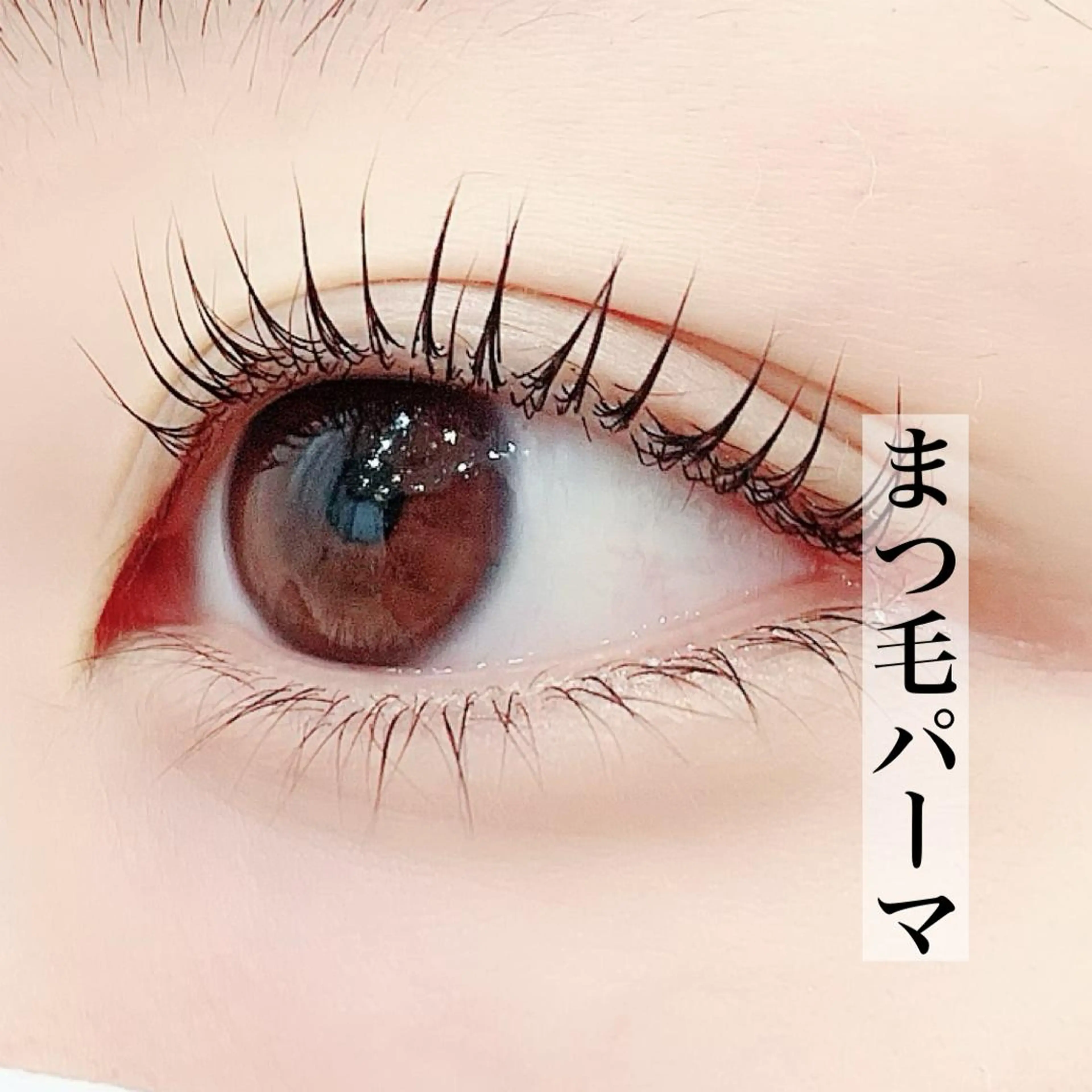 マツエク・マツパ まつげパーマ 一重×まつ毛パーマ LEGA 志木 OKAMURAのマツエク・マツパデザイン