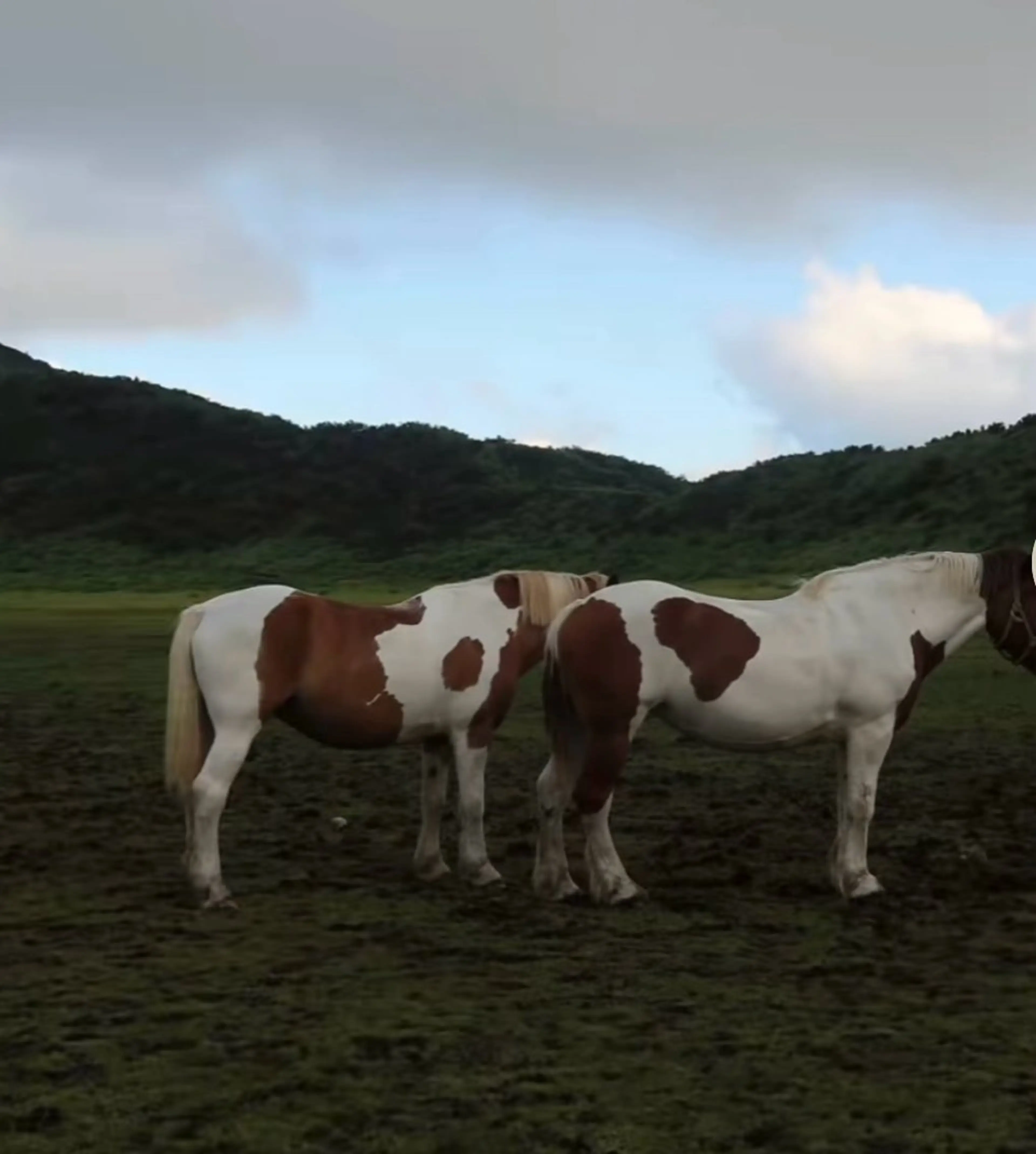 マツエク・マツパ eyelash&nail　Liora所属・Liora川越 YUIのマツエク・マツパデザイン