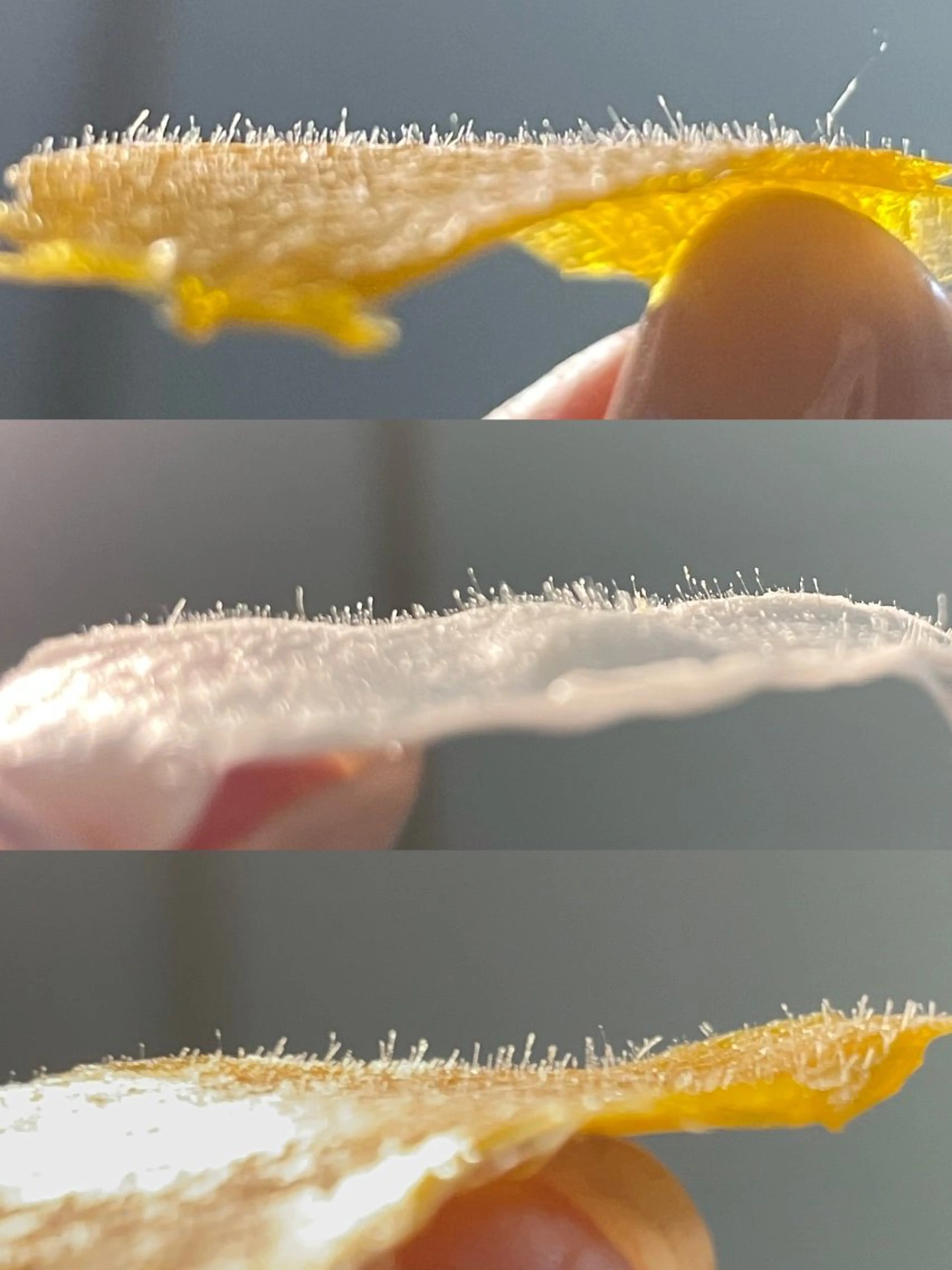 脱毛 New所属・New __のその他イメージ