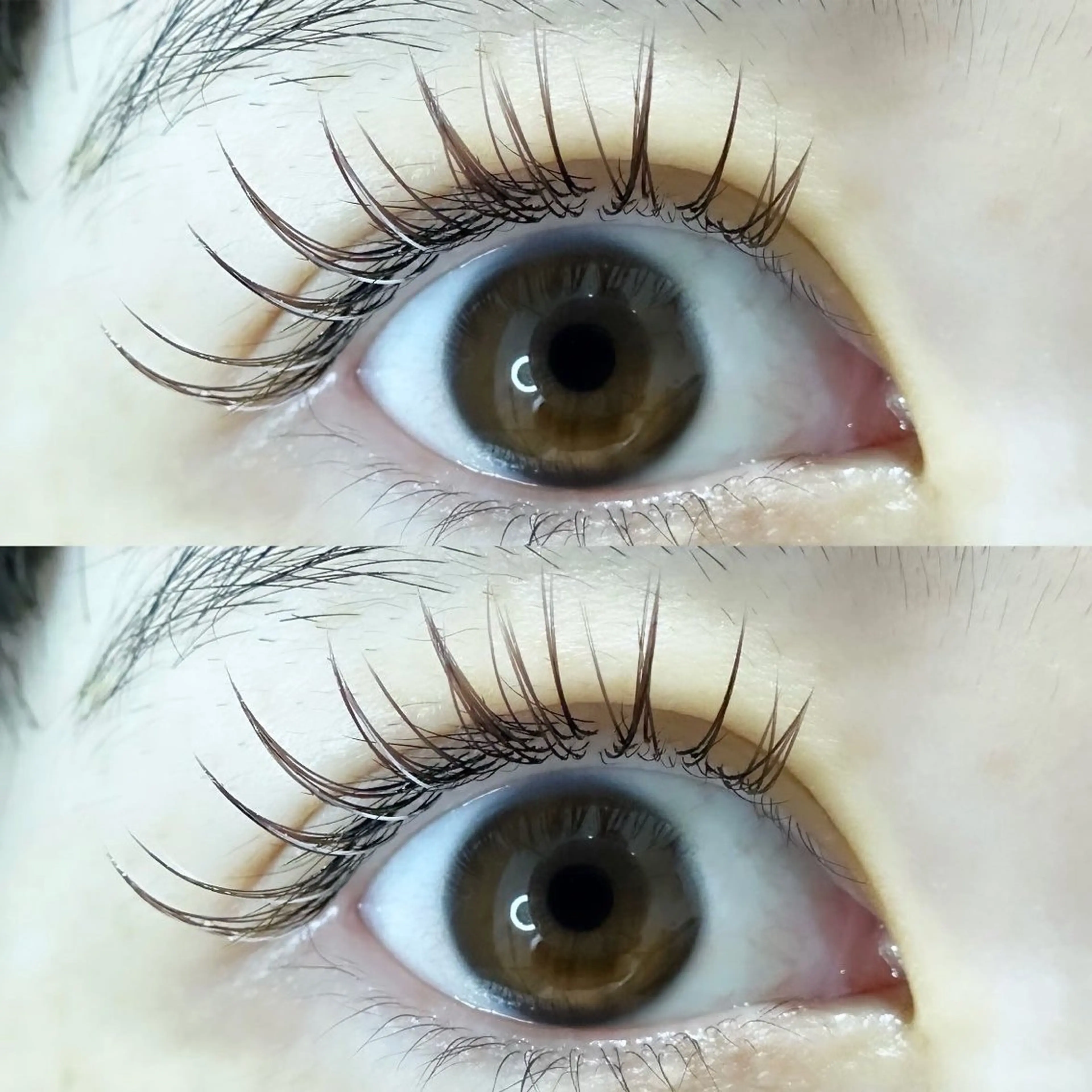 マツエク・マツパ ar...beauty salon所属・藤原 茜のマツエク・マツパデザイン