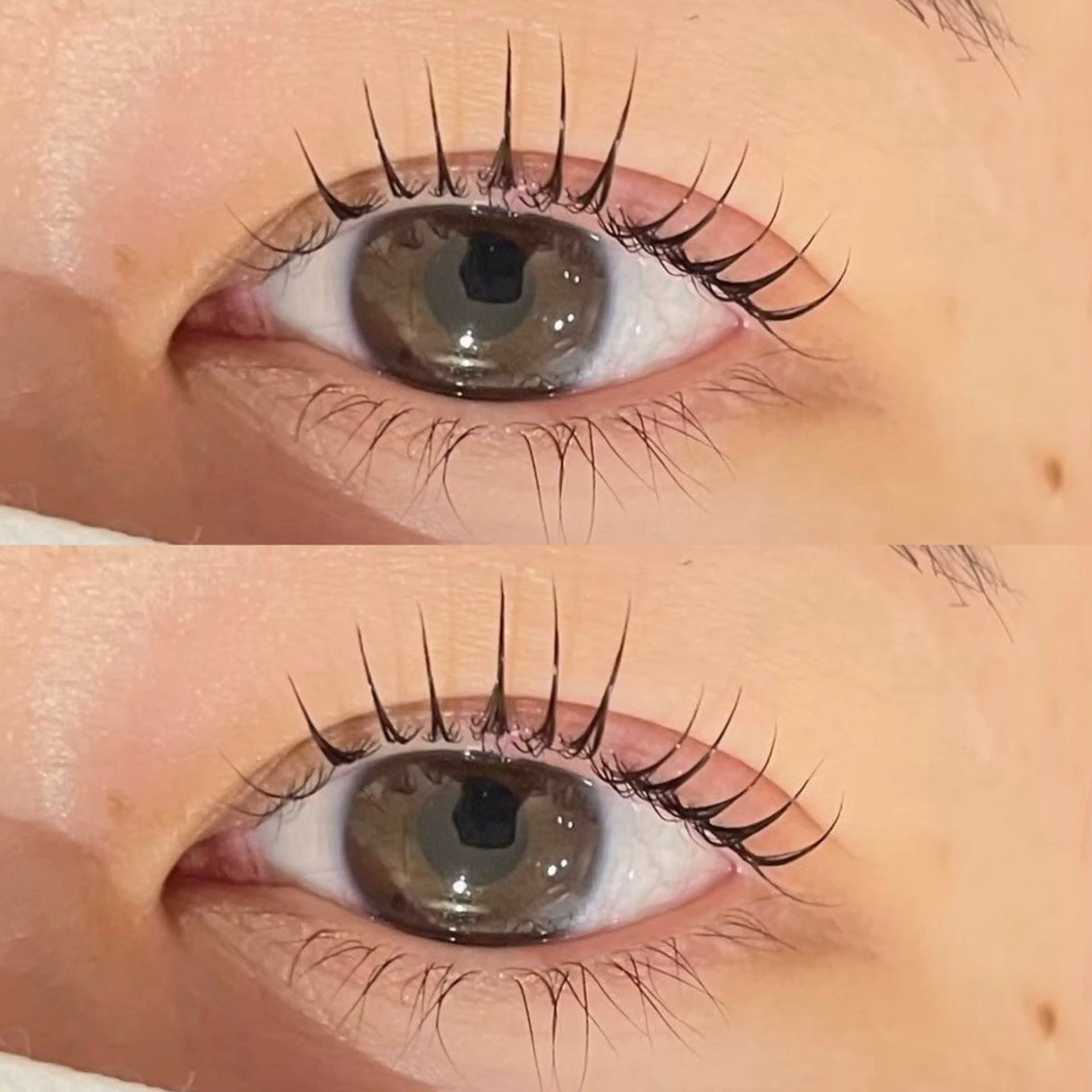 《2回目以降》　parisenne lash lift上下🤍🤍の写真