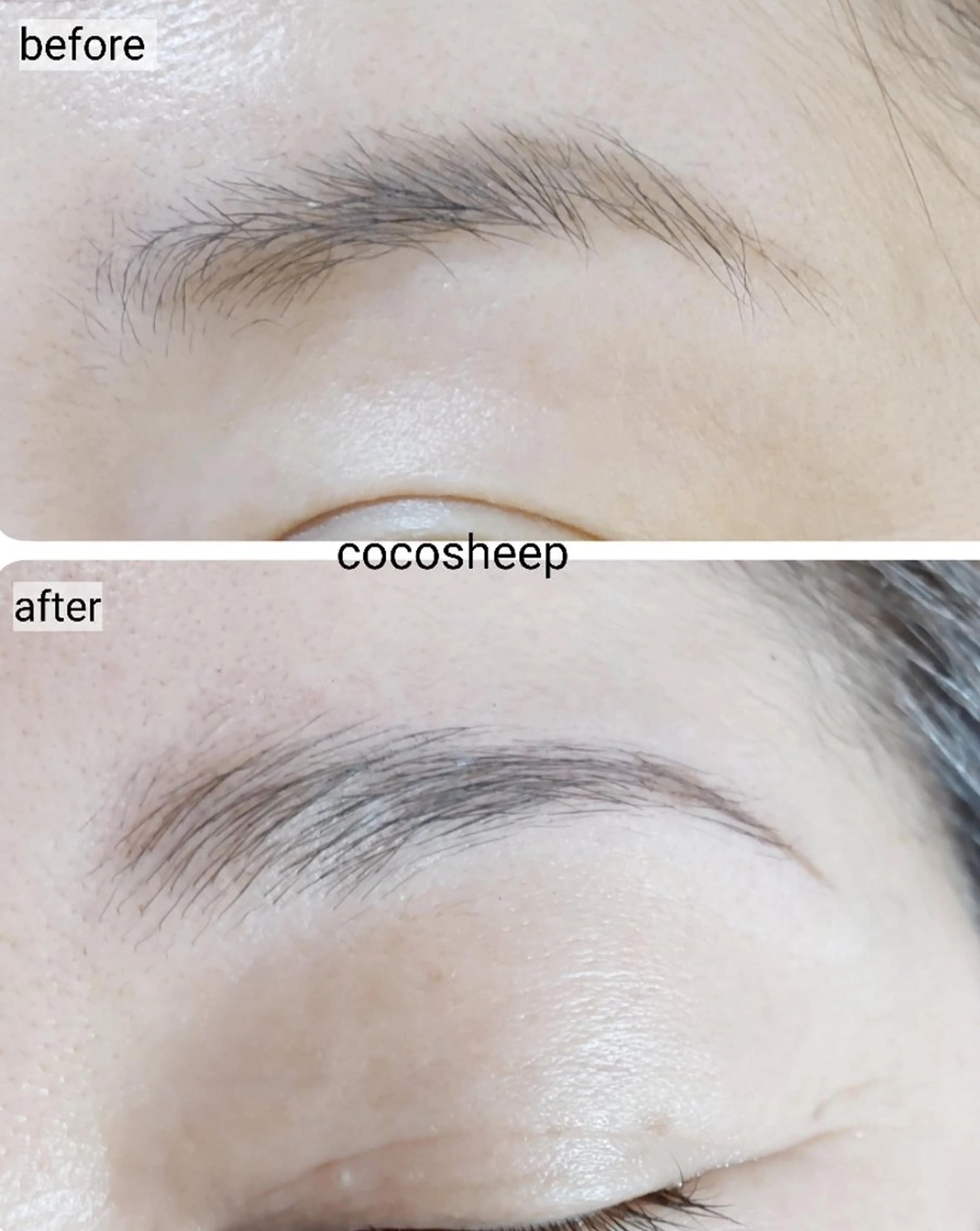 アイブロウ Coco Sheep のその他イメージ