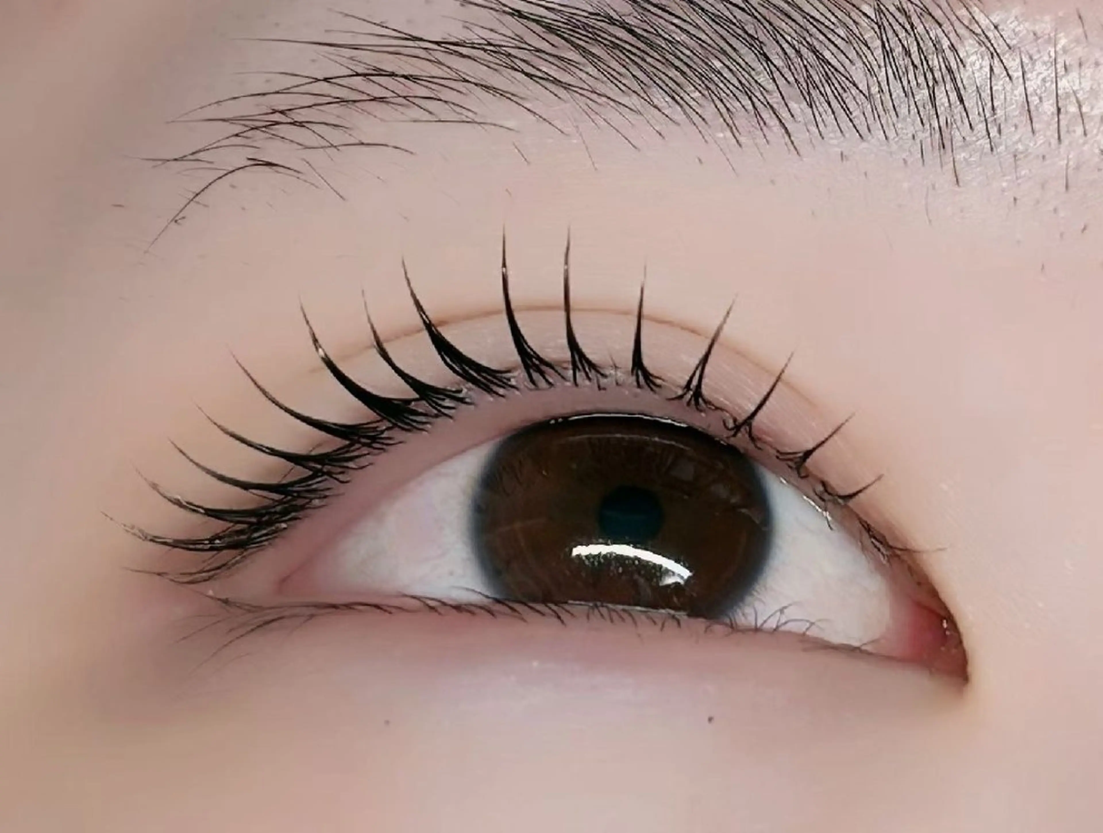 マツエク・マツパ 韓国風マツエク マツパ ルチア所属・ルチア💞 luciaのマツエク・マツパデザイン