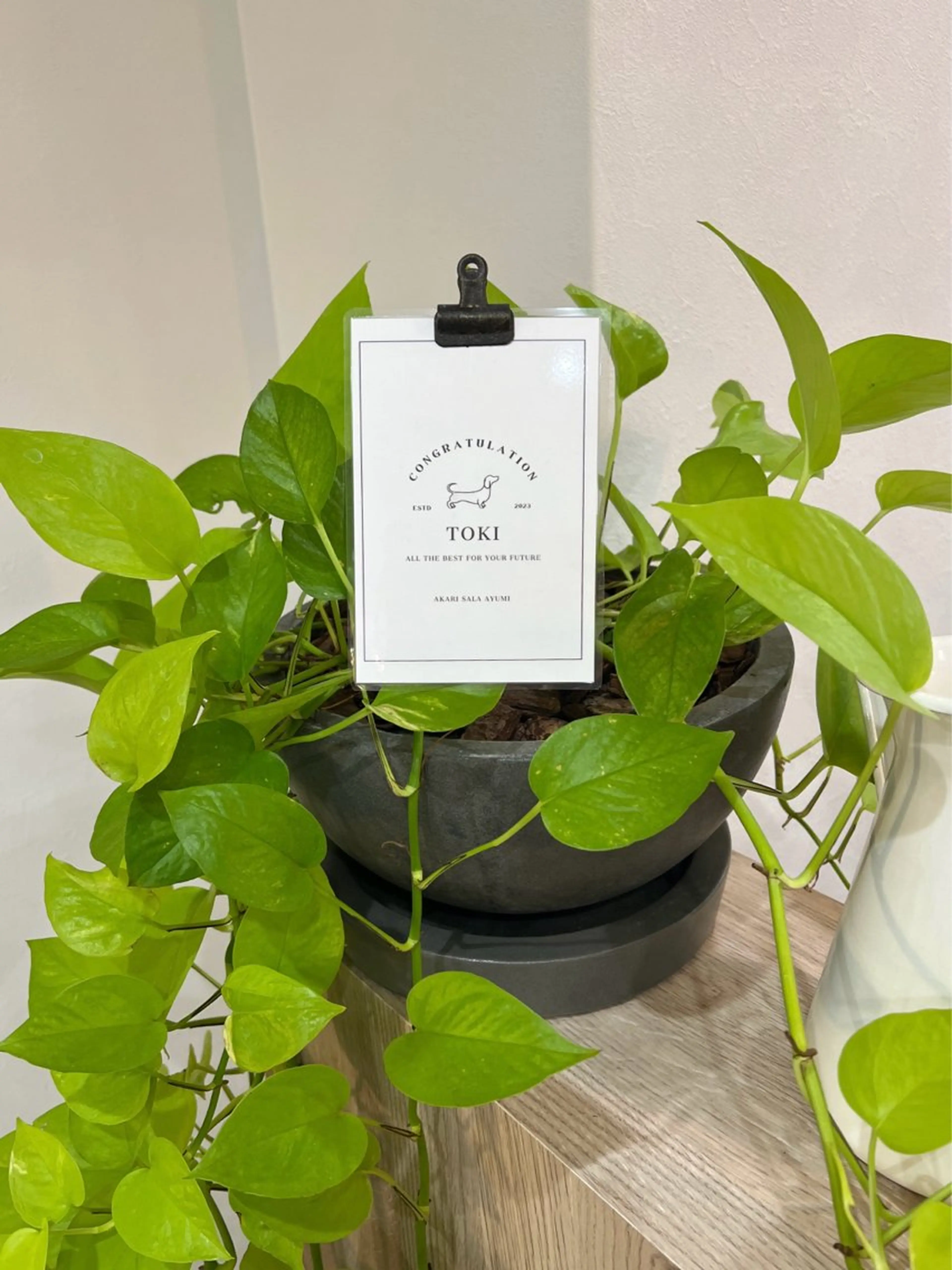 ロング カラー ヘアアレンジ TOKI mahoのヘアスタイル