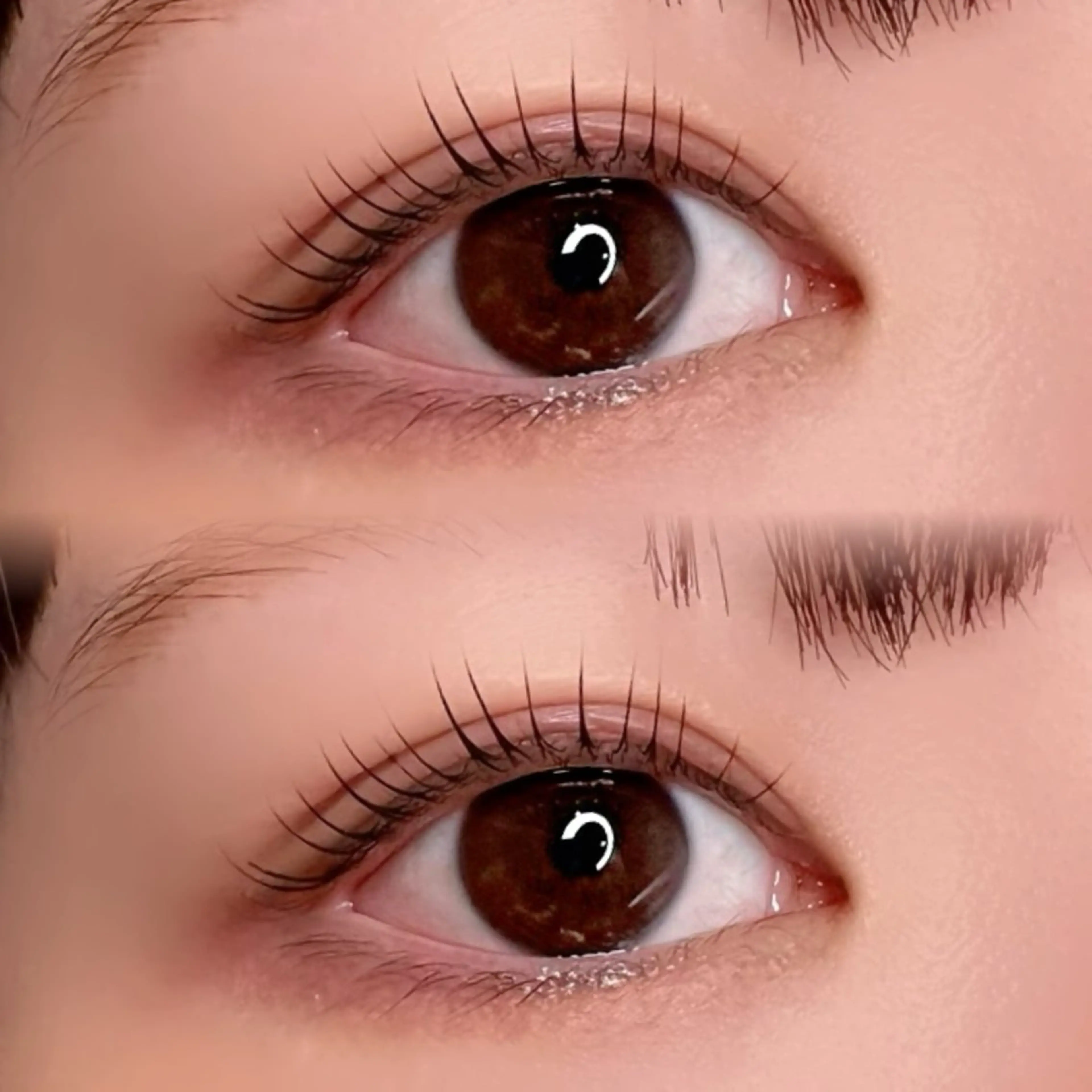 ❤️‍🔥大注目❤️‍🔥【L3リフト】高持続×毛質改善 まつげパーマ／コーティング仕上げ付き♡の写真