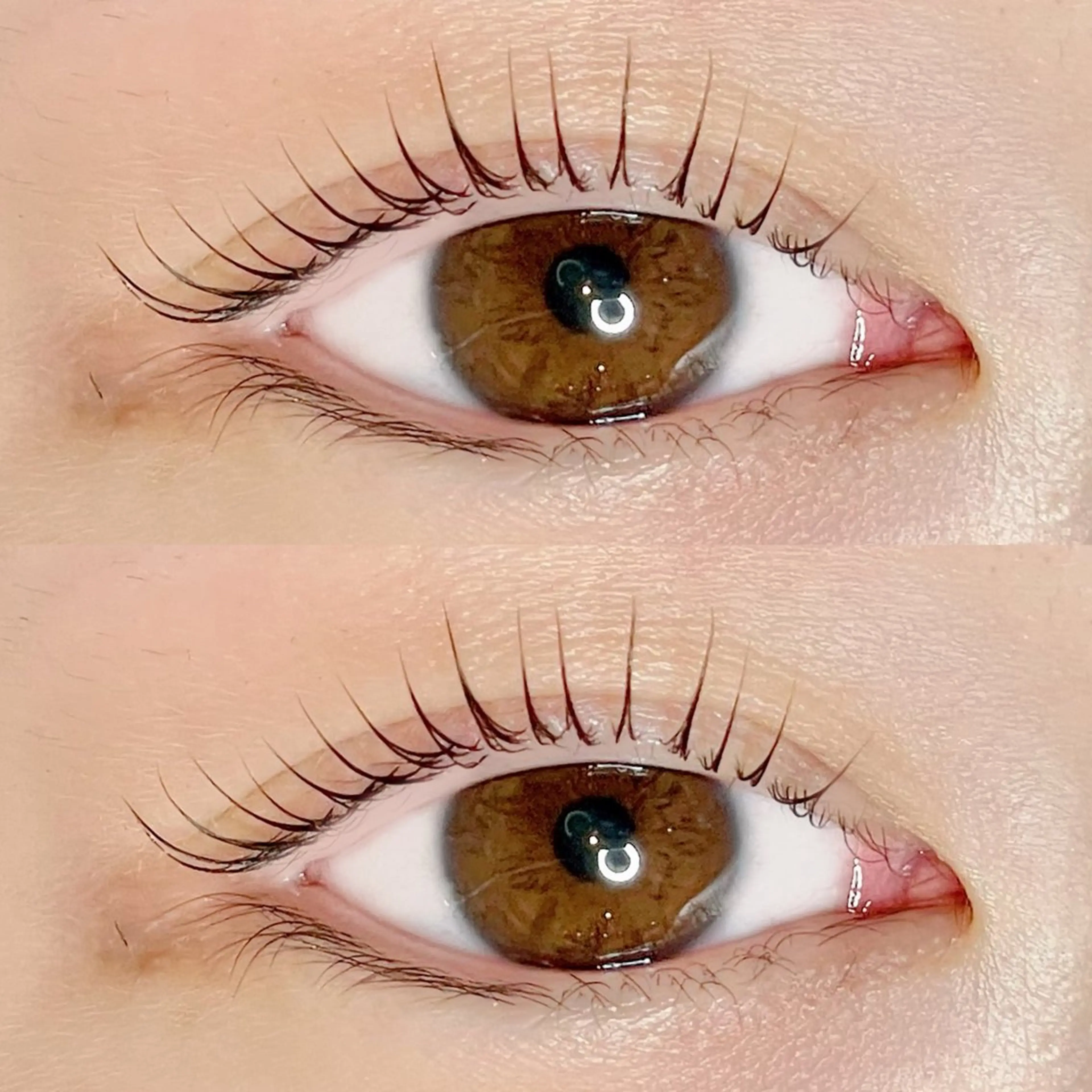 マツエク・マツパ マツパ AYLASH🧡 猪又のマツエク・マツパデザイン