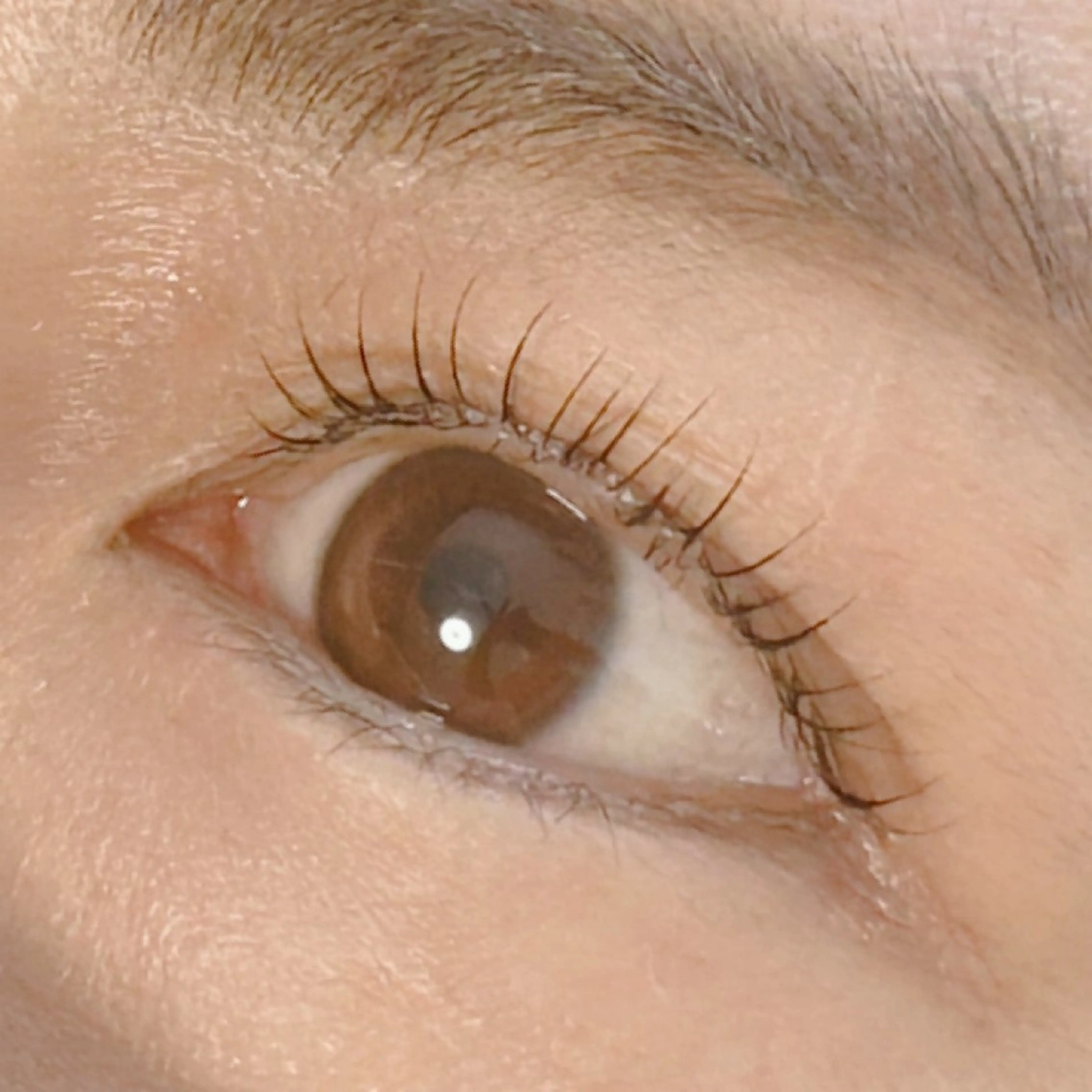 マツエク・マツパ annabelle 大野のマツエク・マツパデザイン