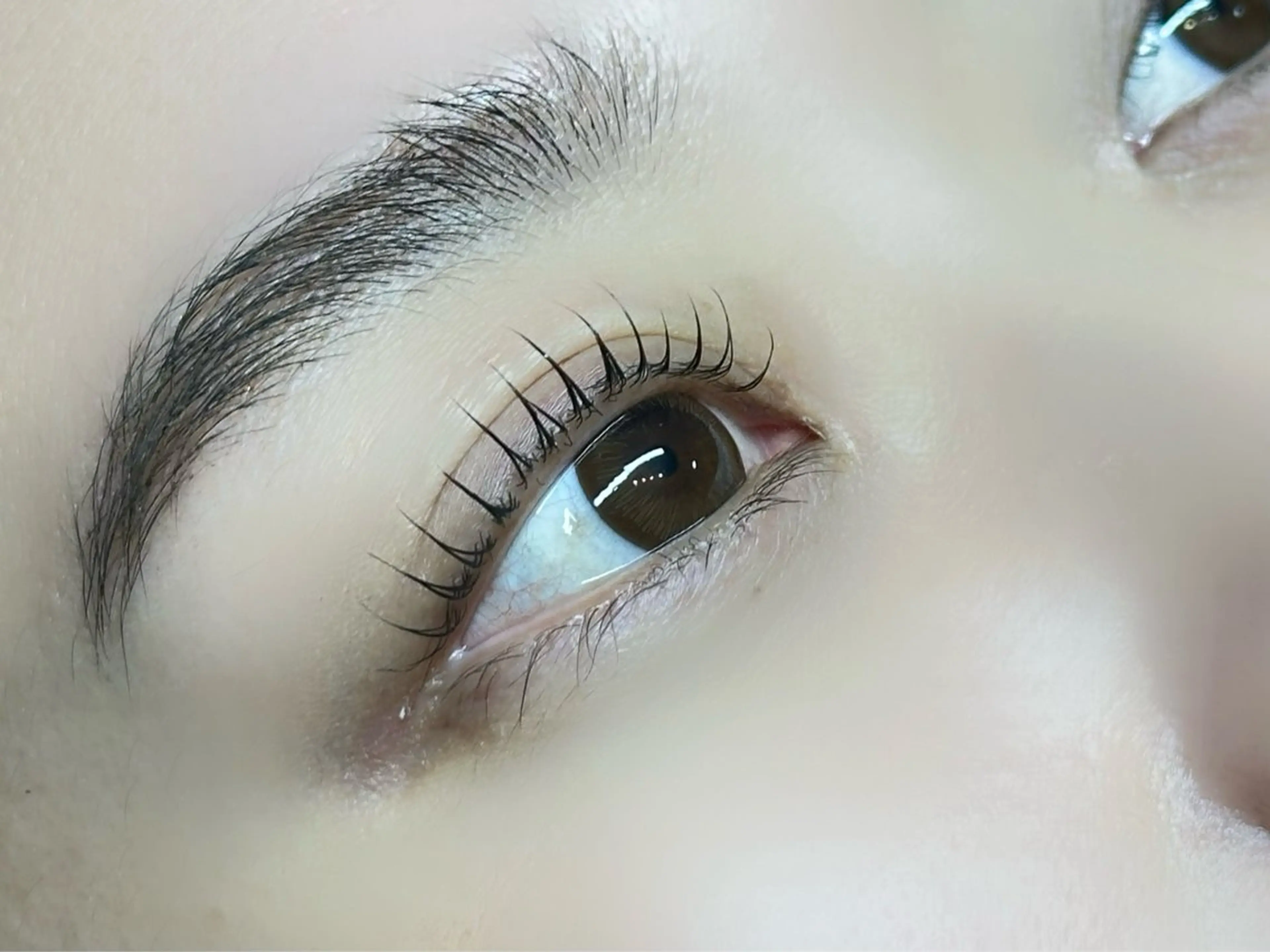 マツエク・マツパ マツパ eom eye(オムアイ)所属・eom eye 🍓MOEのマツエク・マツパデザイン