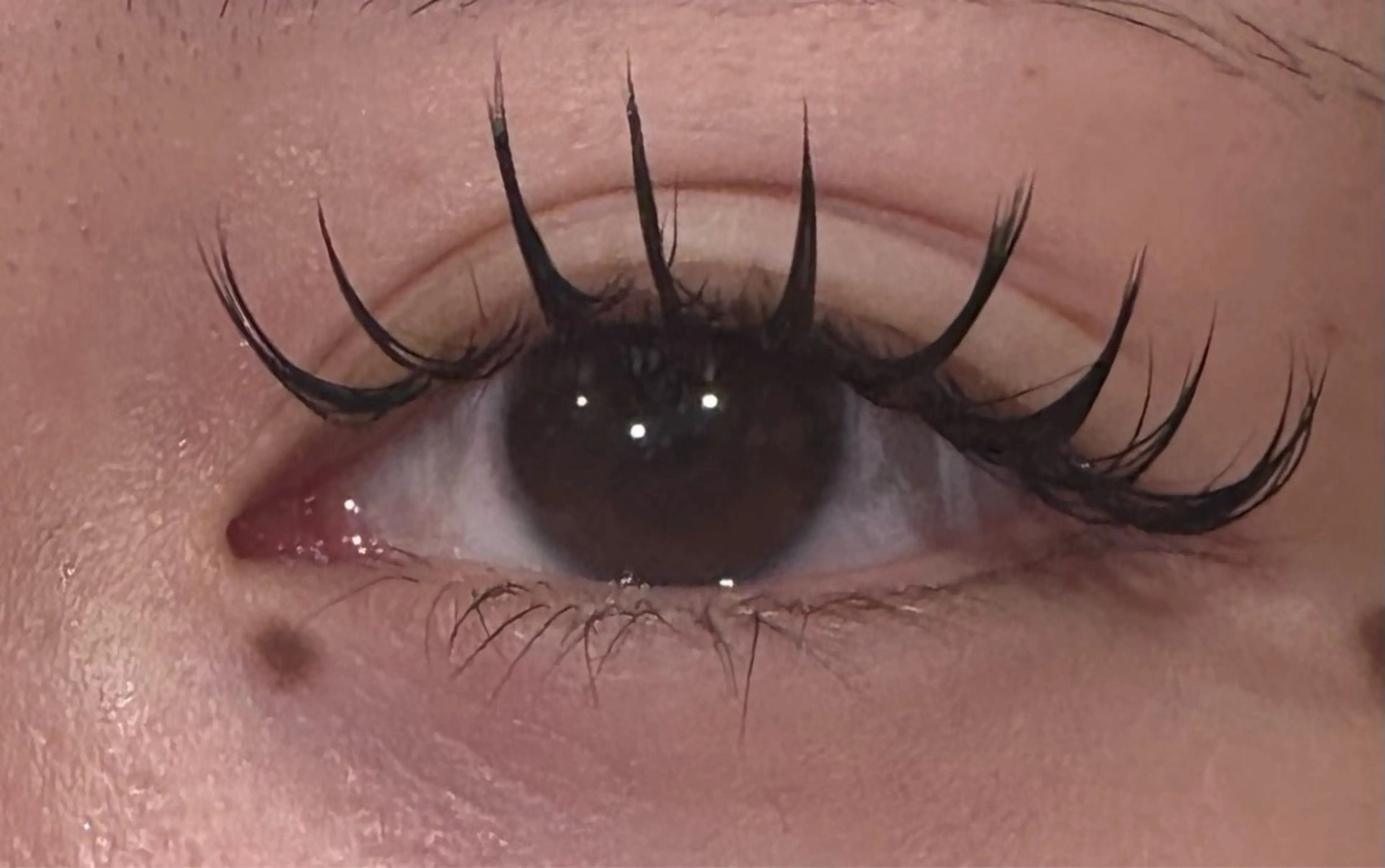 💜プレミアムカシミア💜100本上付け放題オフ＆コーティング付きの写真