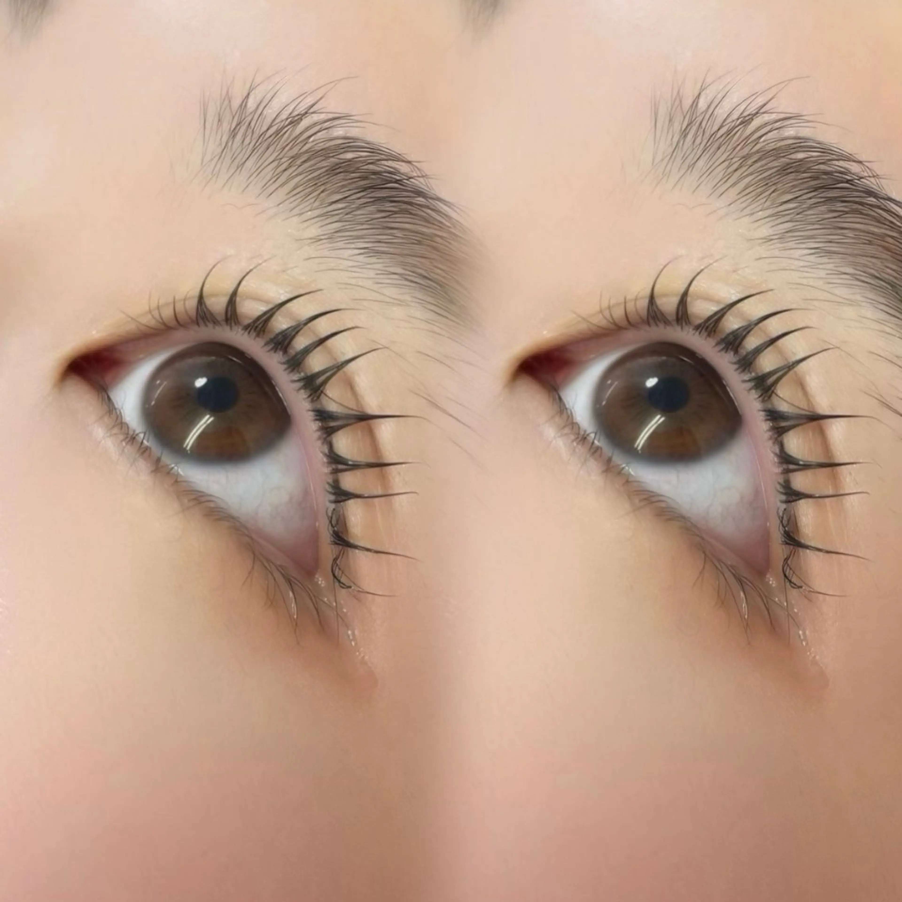 マツエク・マツパ Twinkle千歳店 🧡ニシムラミユのマツエク・マツパデザイン