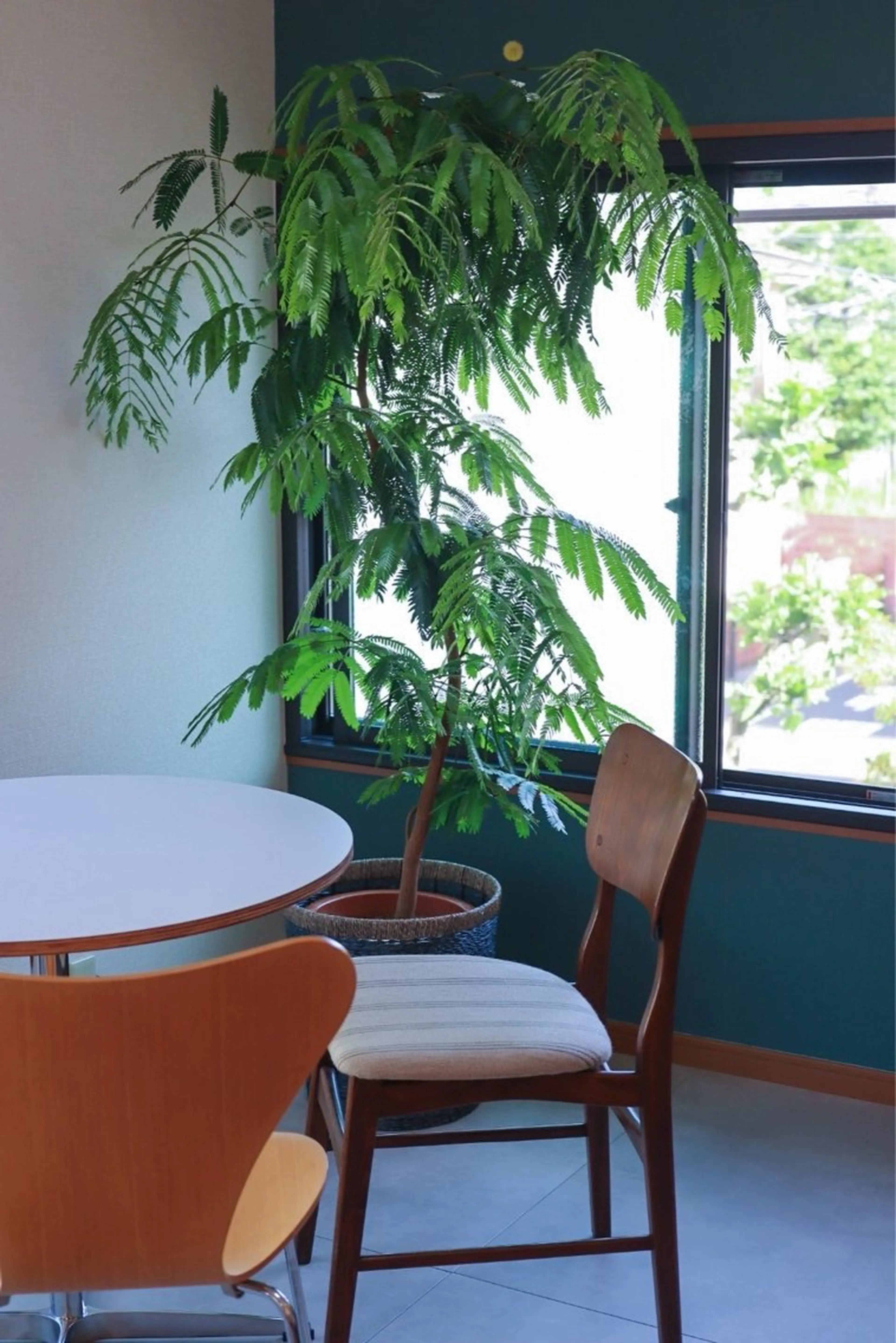 パーソナルカラー骨格 顔タイプ| Lisnのその他イメージ