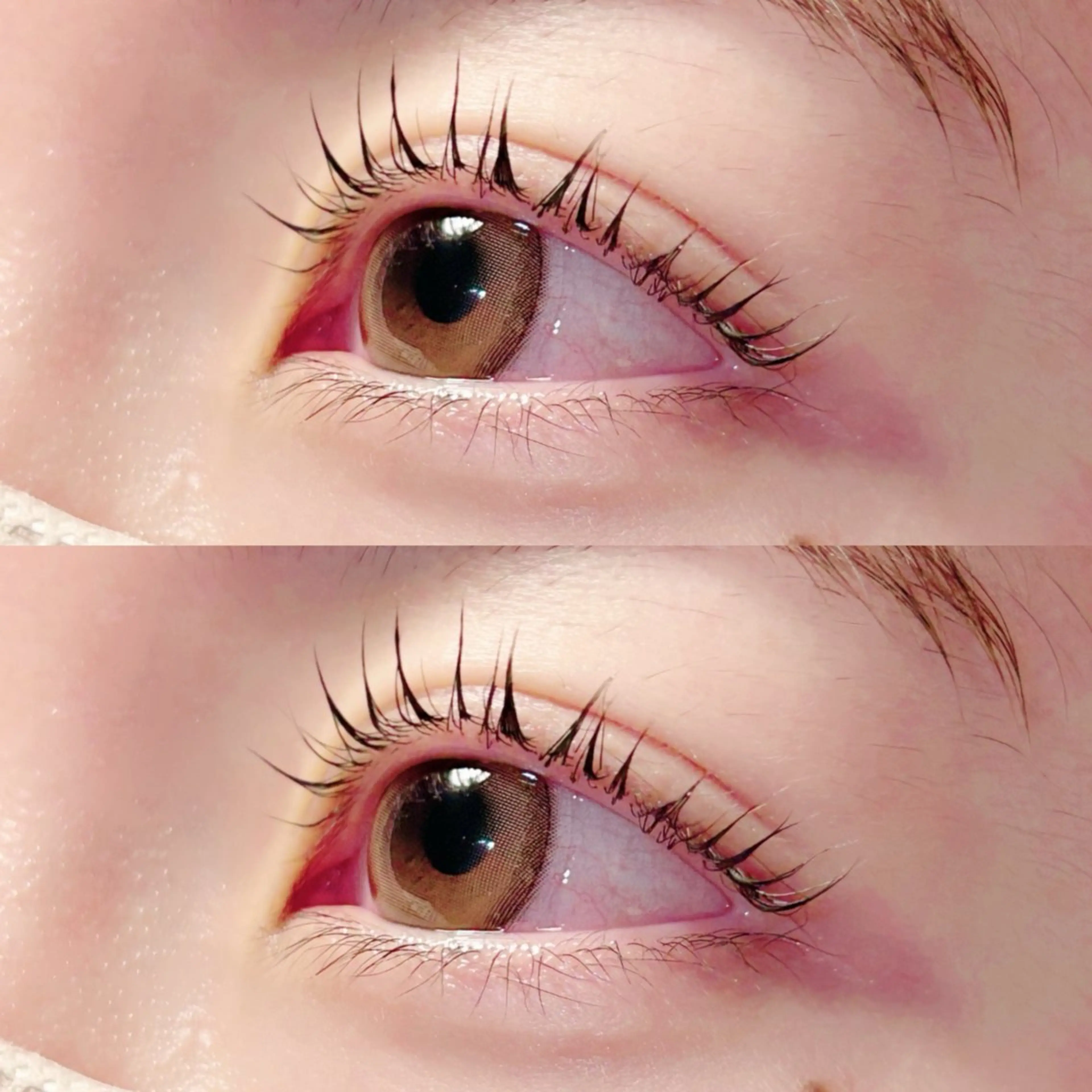 マツエク・マツパ パリジェンヌラッシュリフト マツパ ほんだ はるかのマツエク・マツパデザイン