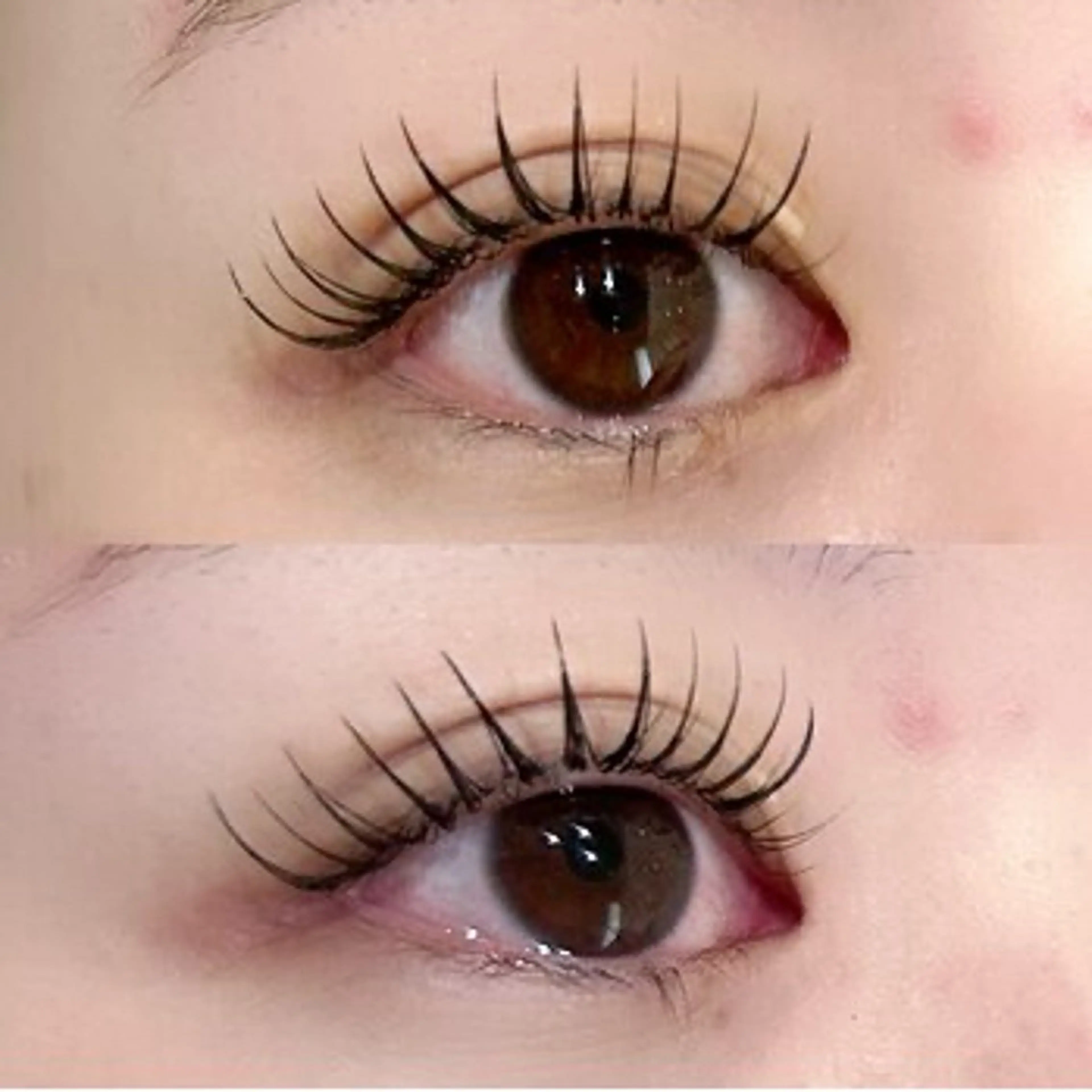 💫オフ込み！リフエクorパリエク100本💫の写真