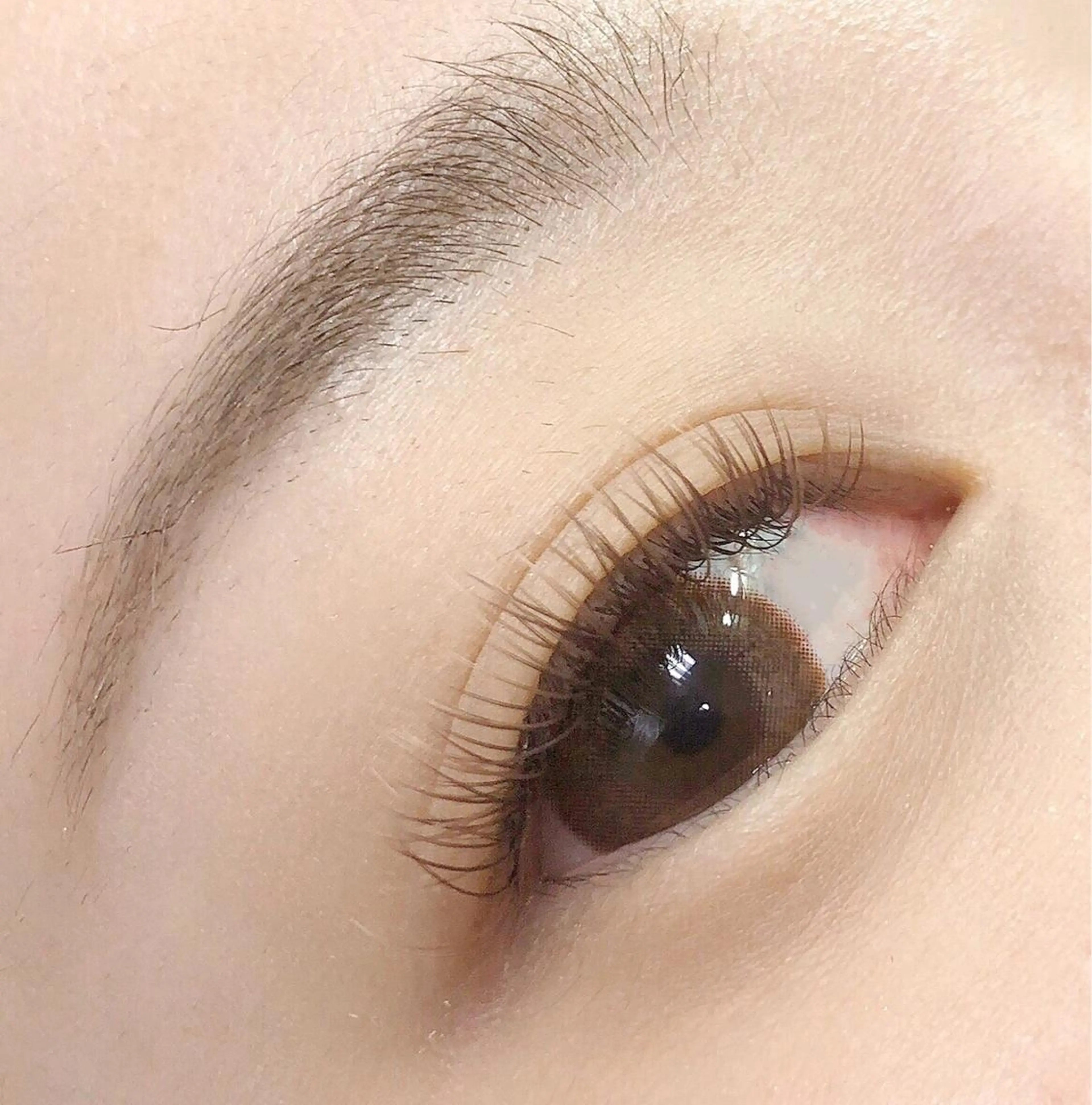 ◇アイシャンプー＆オフ込◇    フラットマットラッシュブラウン ・ロイッシュカラー　120本の写真