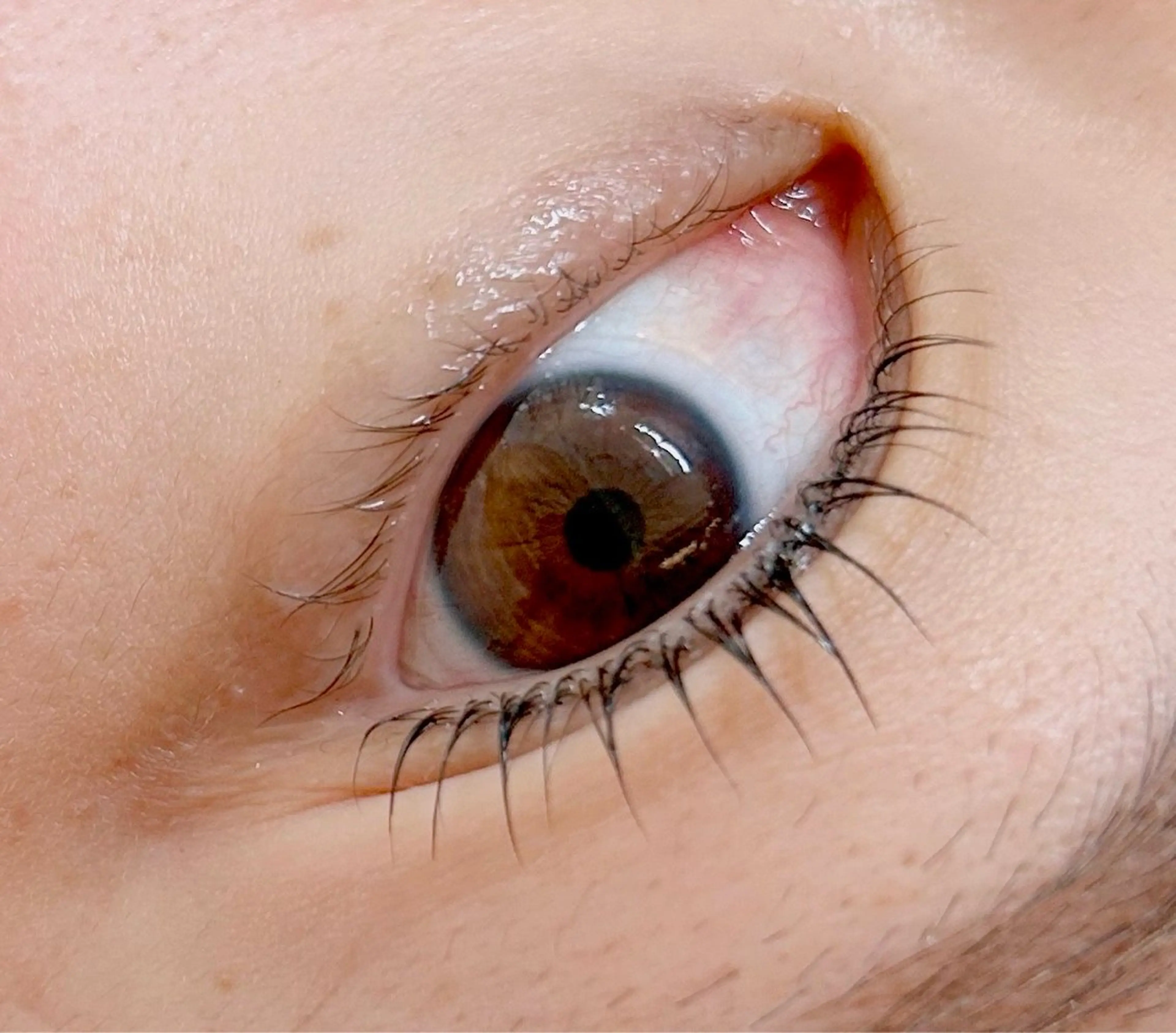 Open価格‼️まつ毛パーマ60分（トリートメント付き♡）の写真