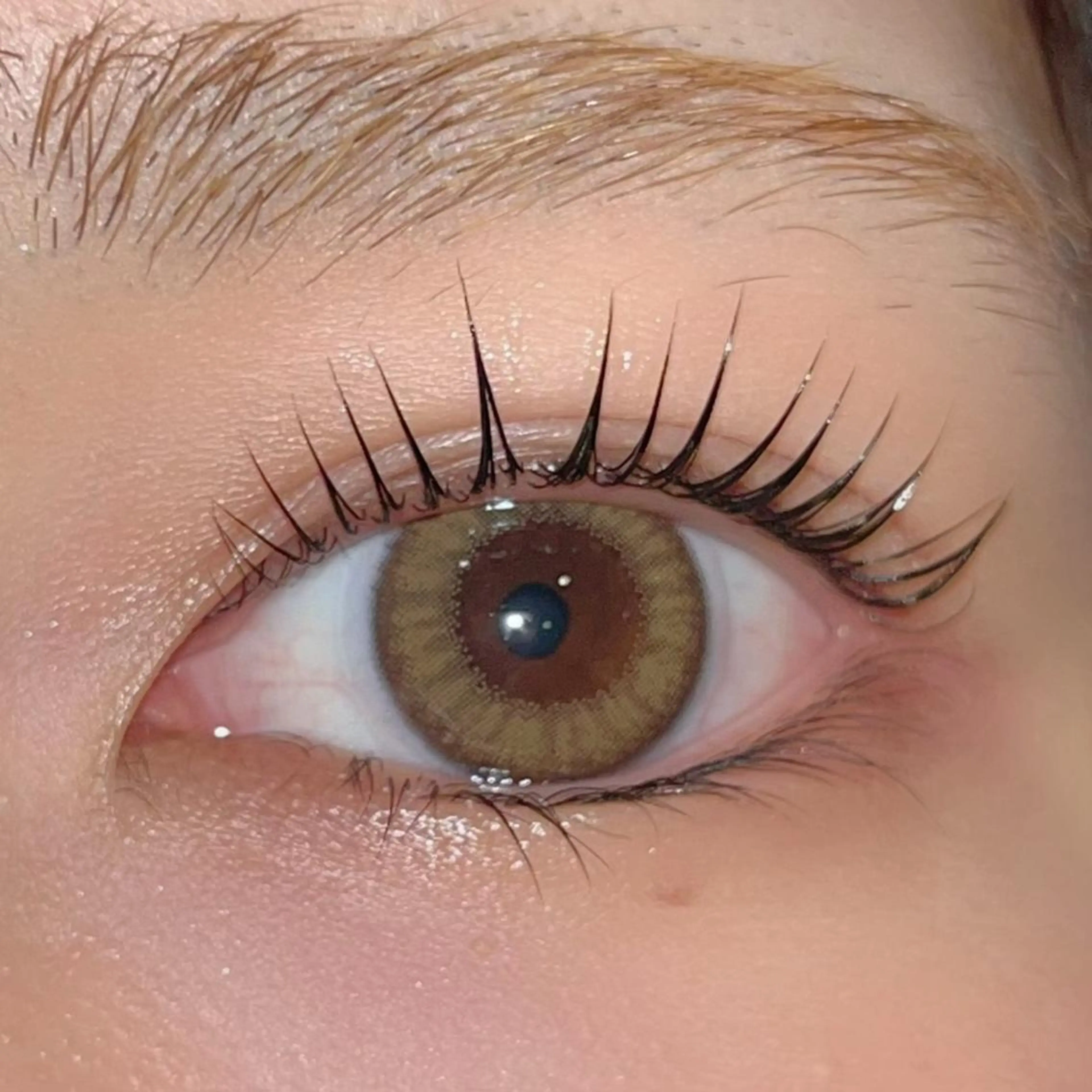 マツエク・マツパ パリジェンヌラッシュリフト まつげパーマ ボリュームラッシュ ai一重専門🎀束感 まつげ🫧表参道のマツエク・マツパデザイン