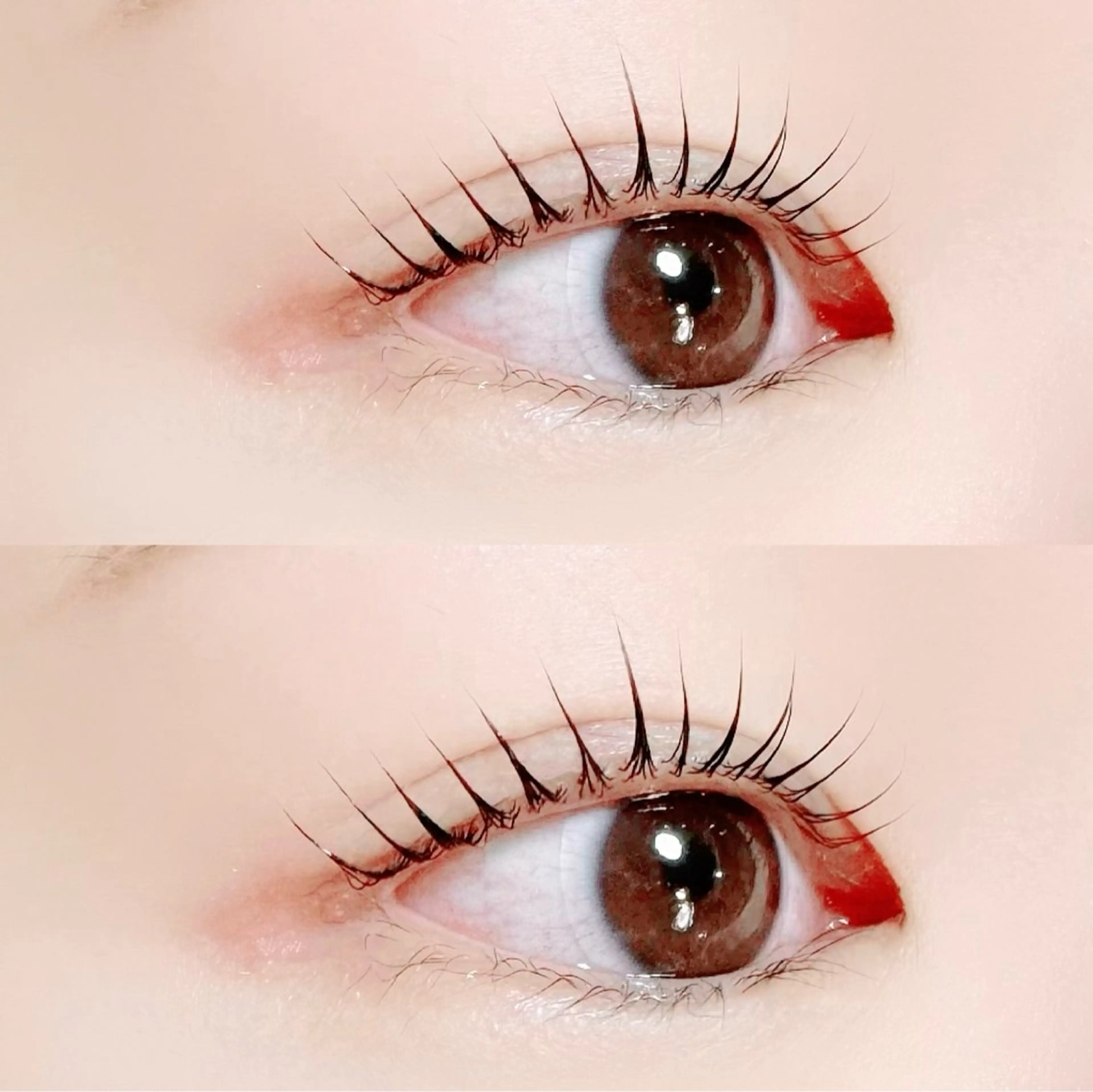 マツエク・マツパ mignon /まつげパーマ/眉毛のエステ・リラクイメージ