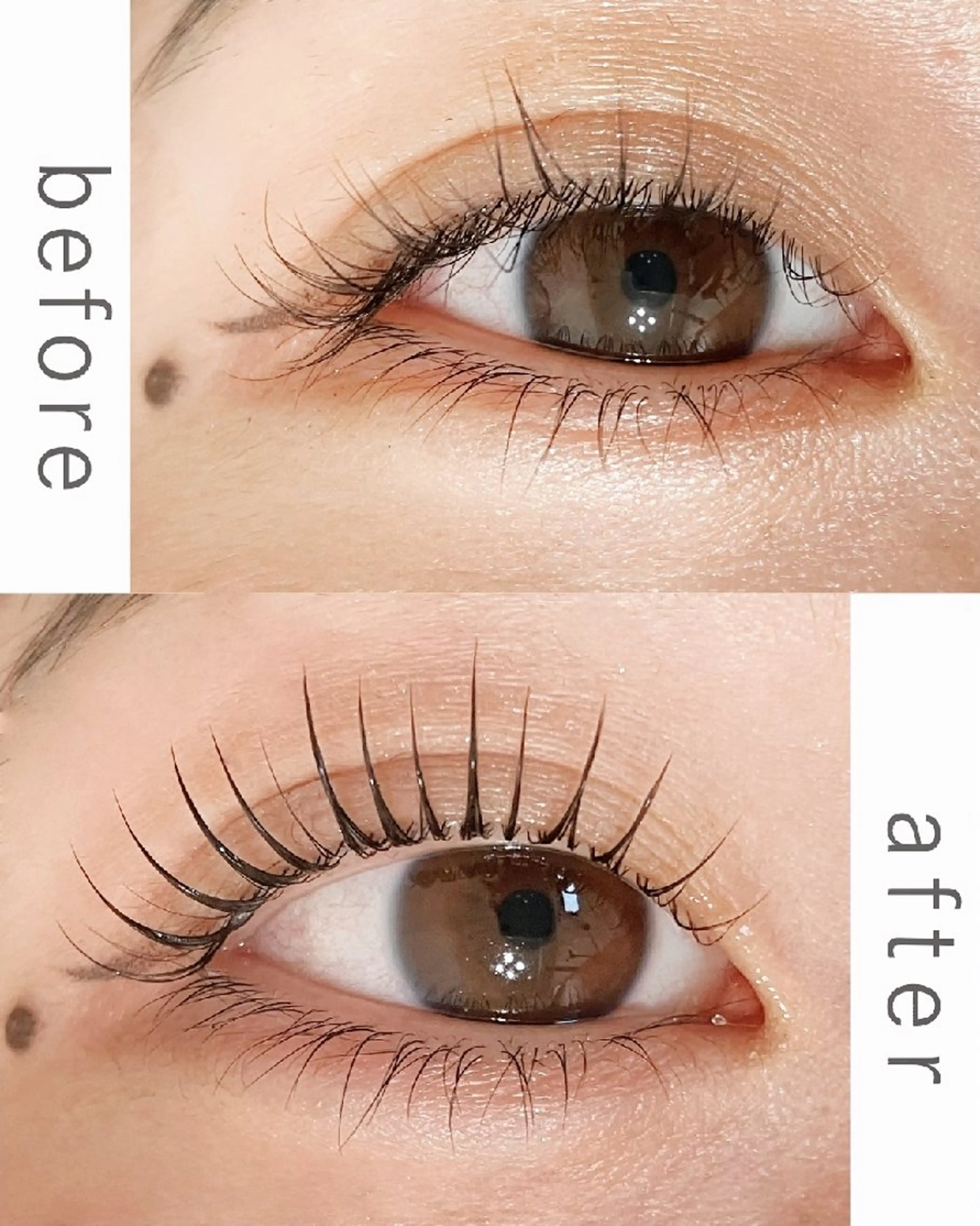 マツエク・マツパ マツパ Chisa【店長】 🌿jolie 栄店のマツエク・マツパデザイン