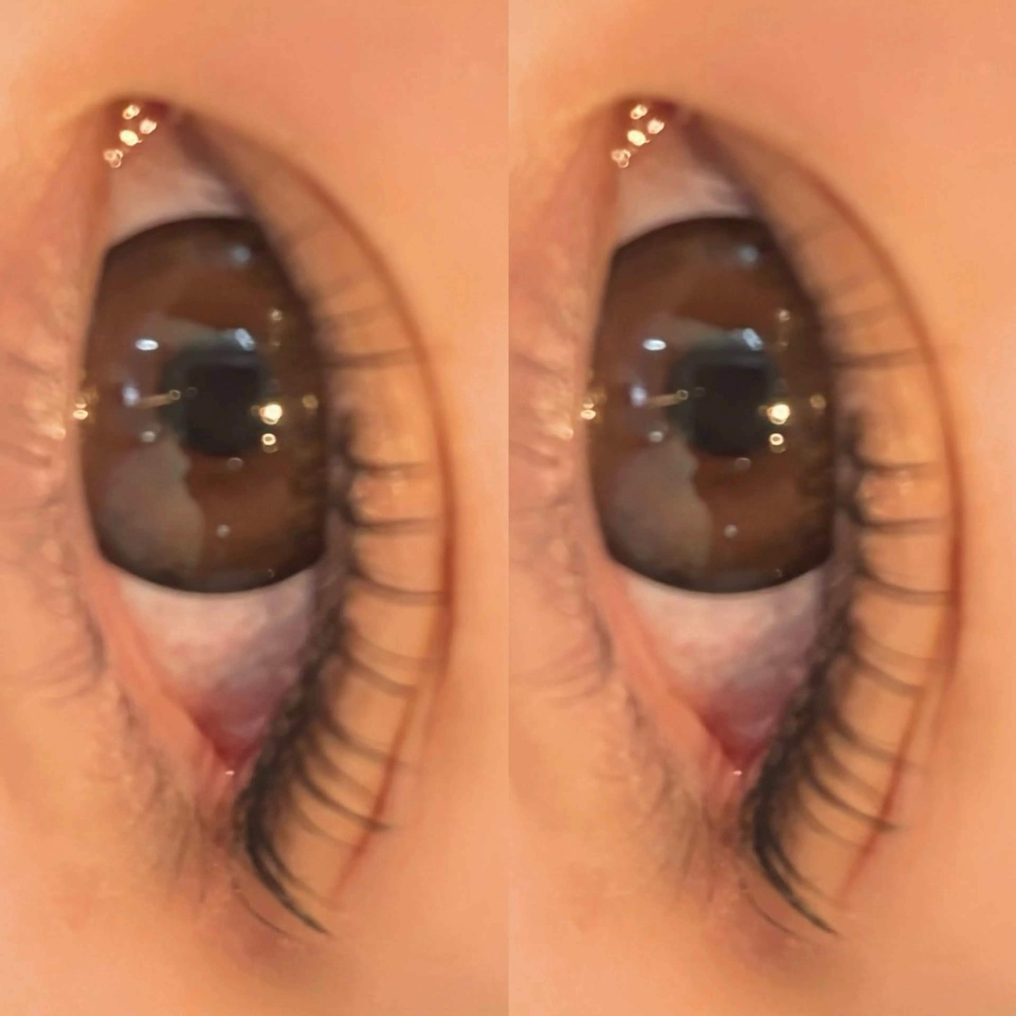 【平日限定】まつげパーマ❤︎ 必ず補足説明ご確認ください!の写真