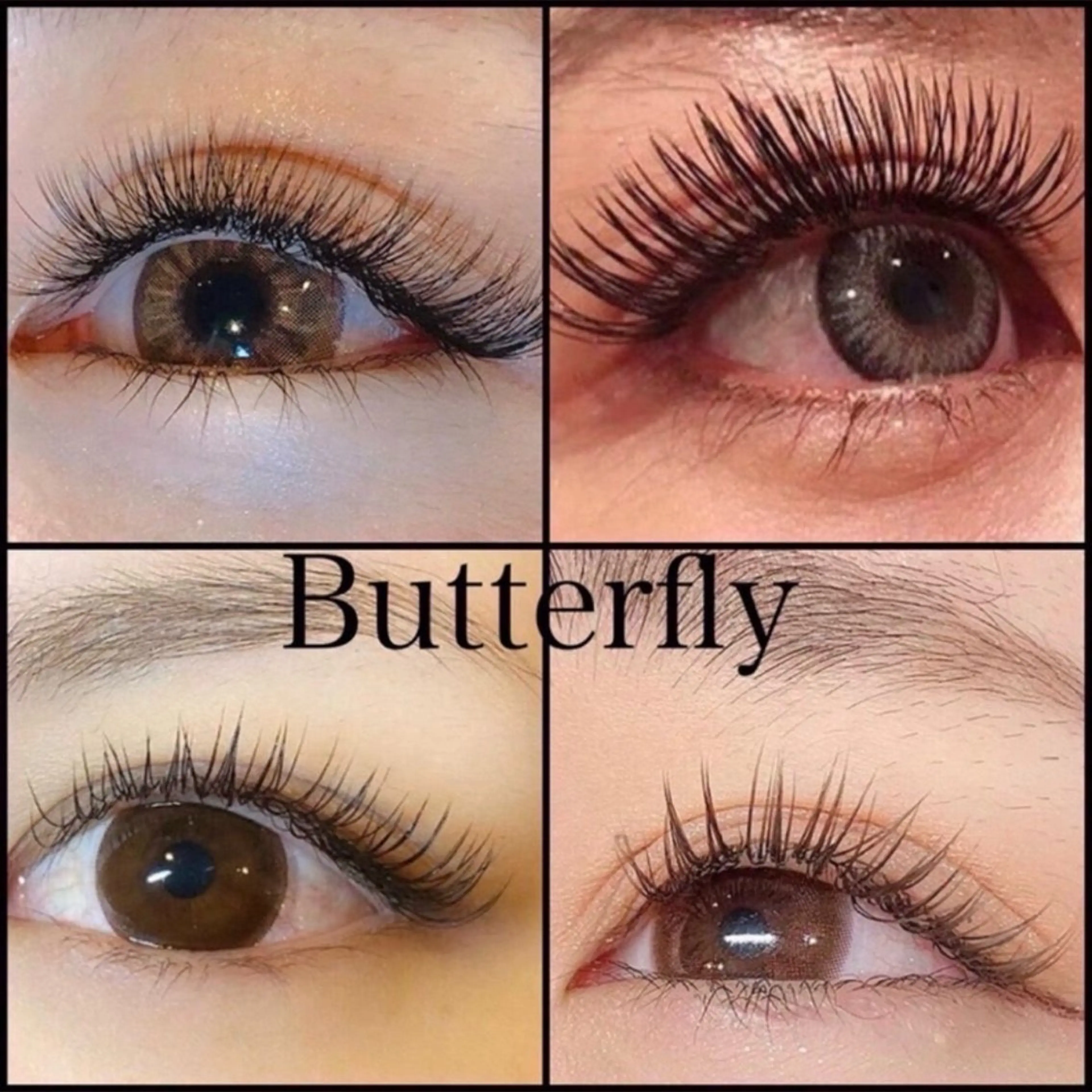 マツエク・マツパ Butterfly 平塚　鈴木のマツエク・マツパデザイン