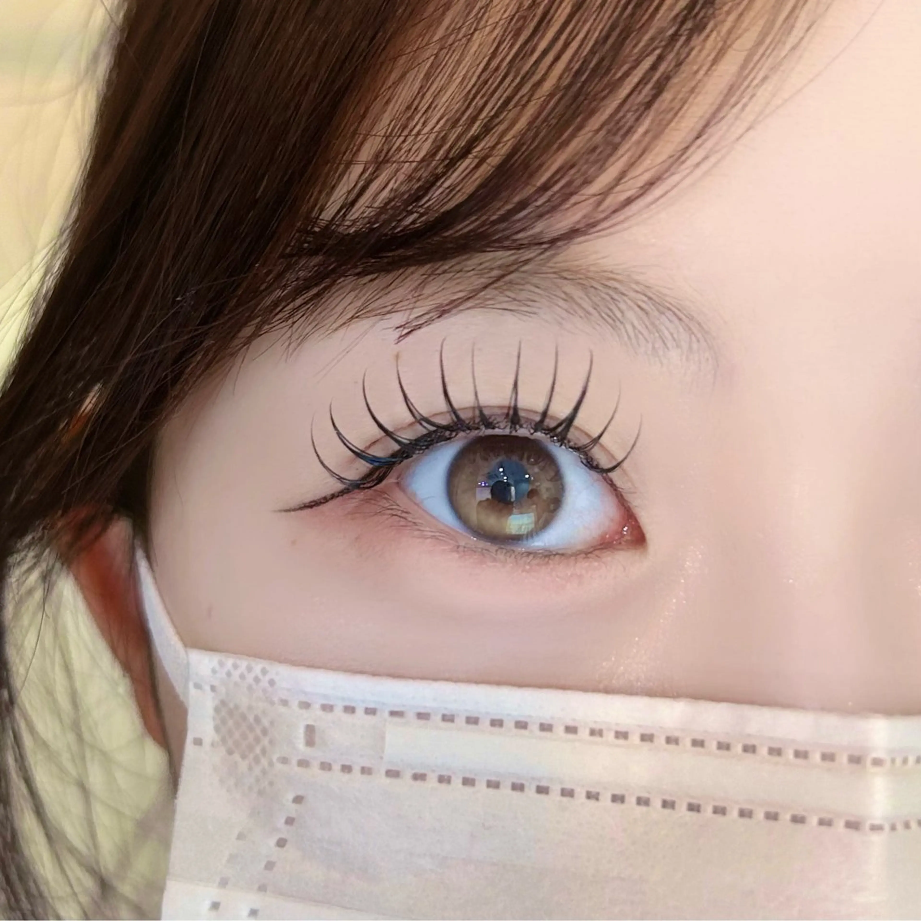 フラットラッシュ120本の写真