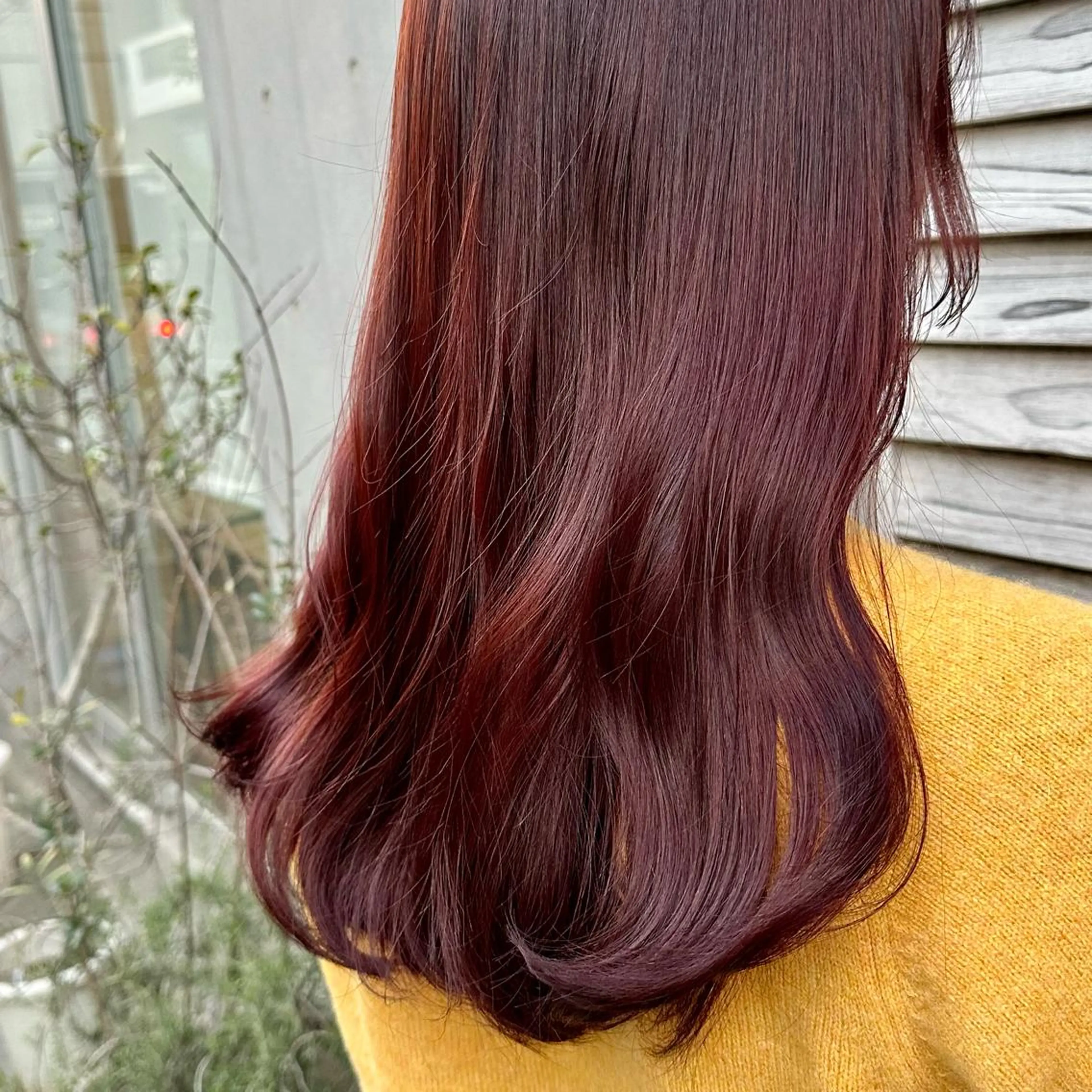 ミディアム カラー 🪭risa 暖色/レイヤー🪭のヘアスタイル