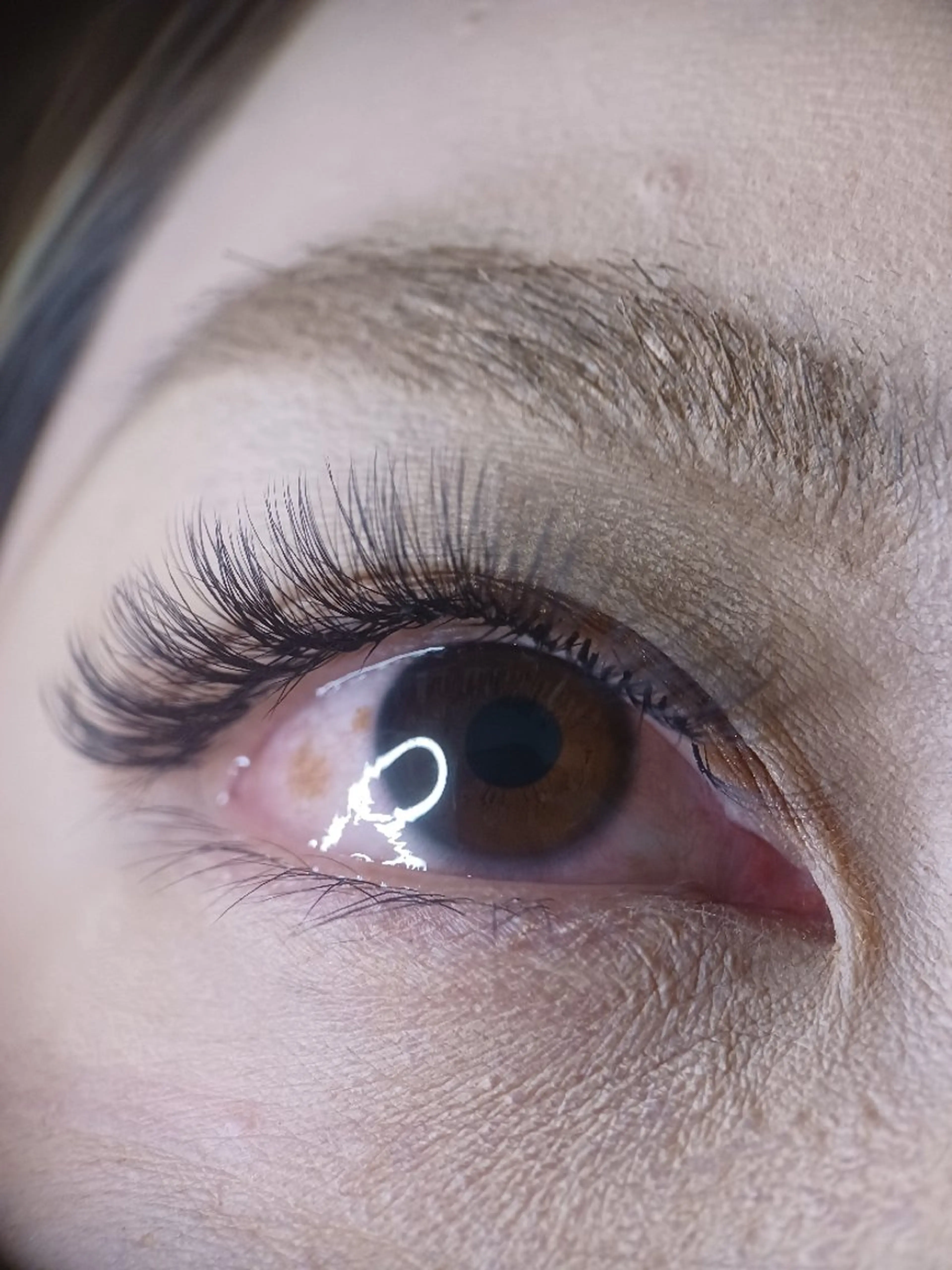 ☆リフエク☆　ラッシュリフト+フラットラッシュ100本の写真