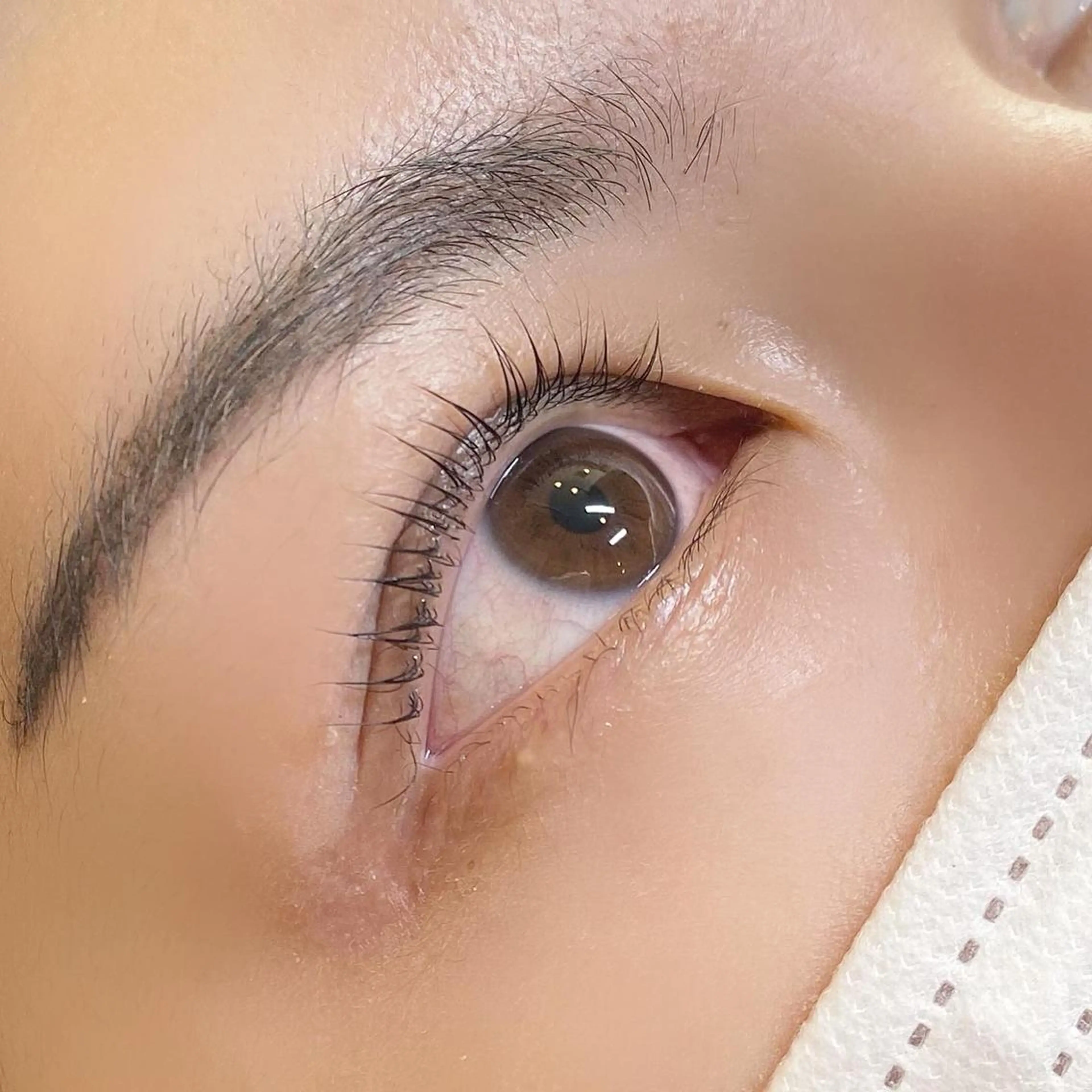 マツエク・マツパ Lカール 一重×まつ毛パーマ 🪽yoshino miku 🩵のマツエク・マツパデザイン