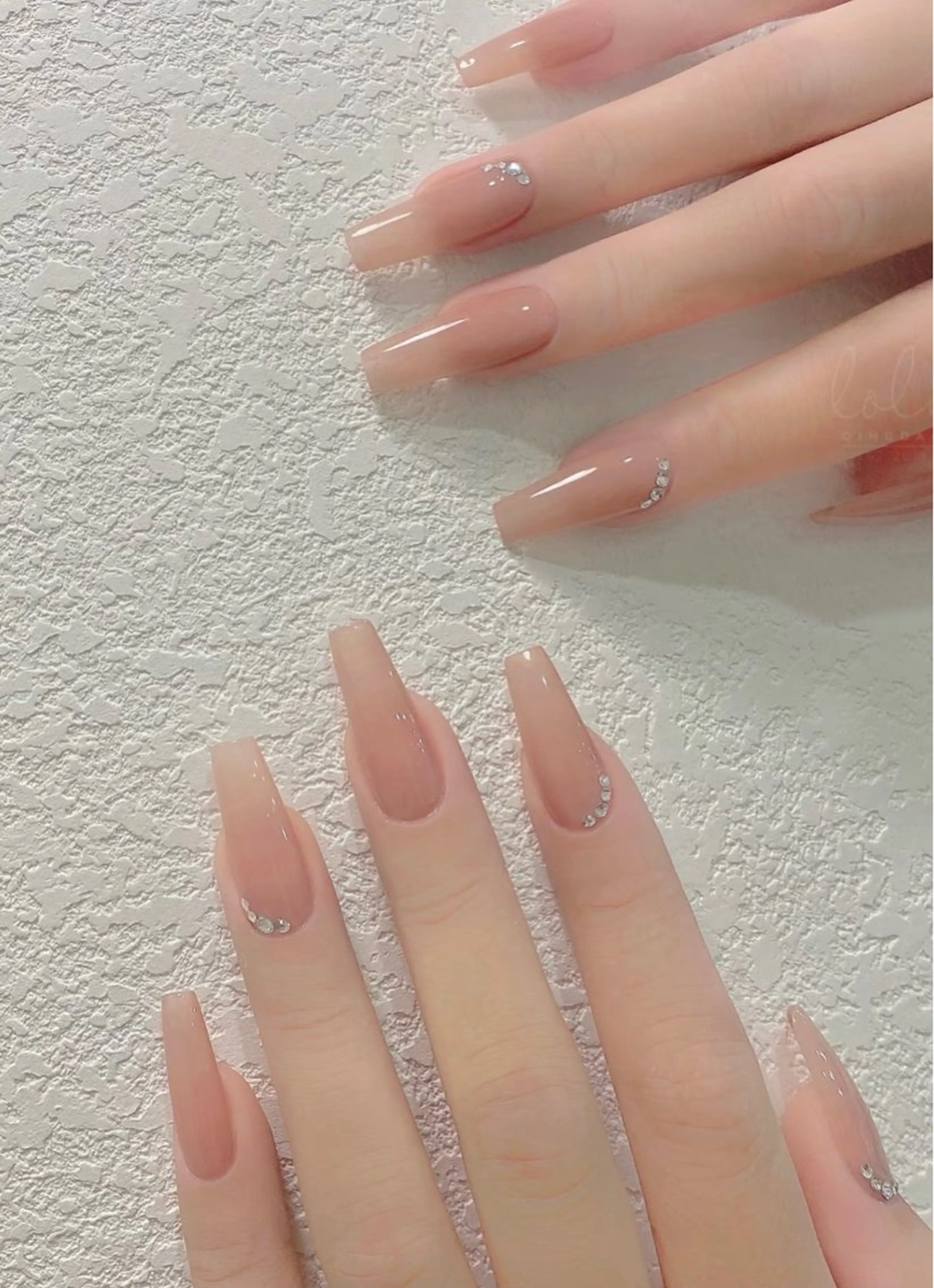 (オフなし)☘️ ワンカラーの写真