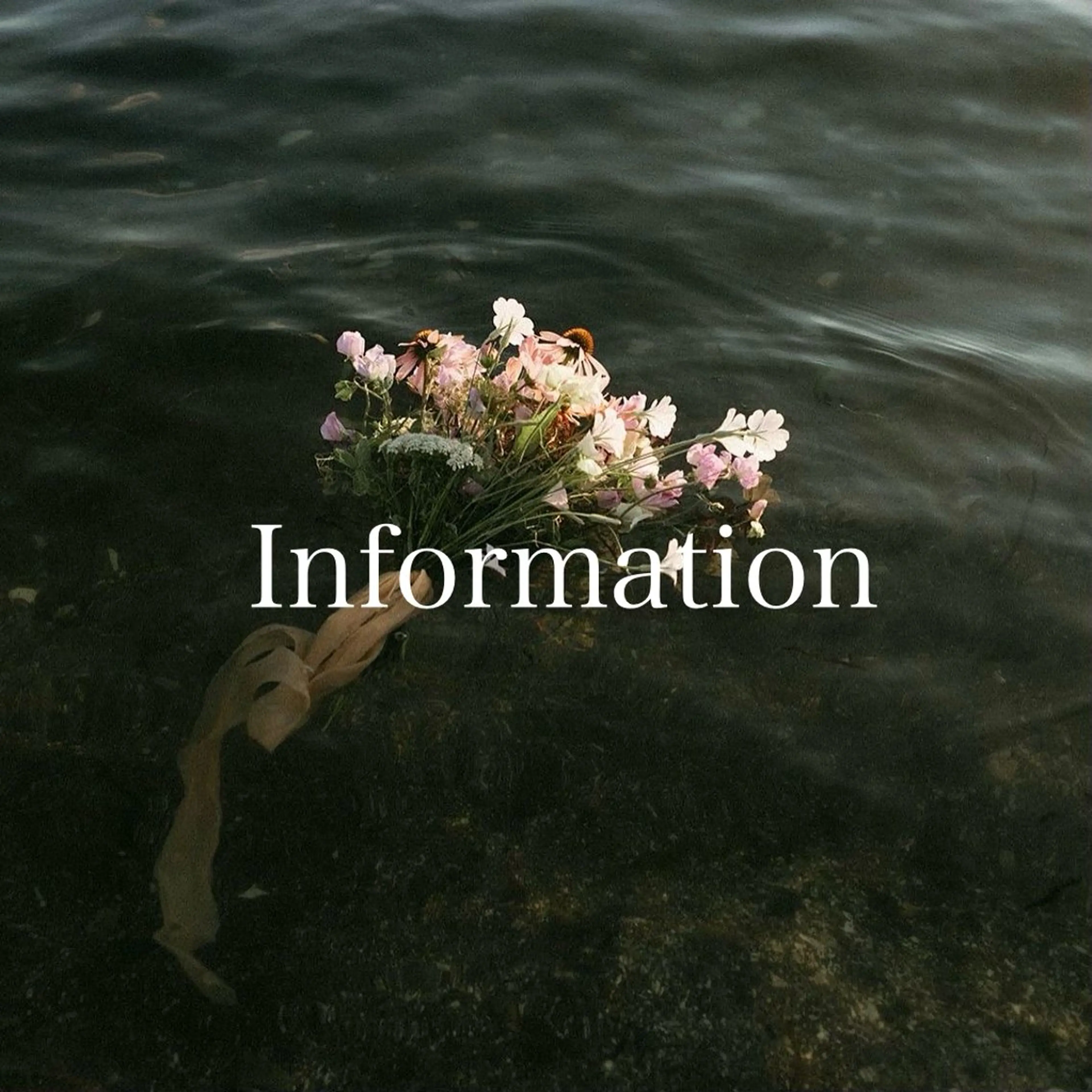 韓国レイヤー/パーマ /艶カラー/Rinのヘアスタイル