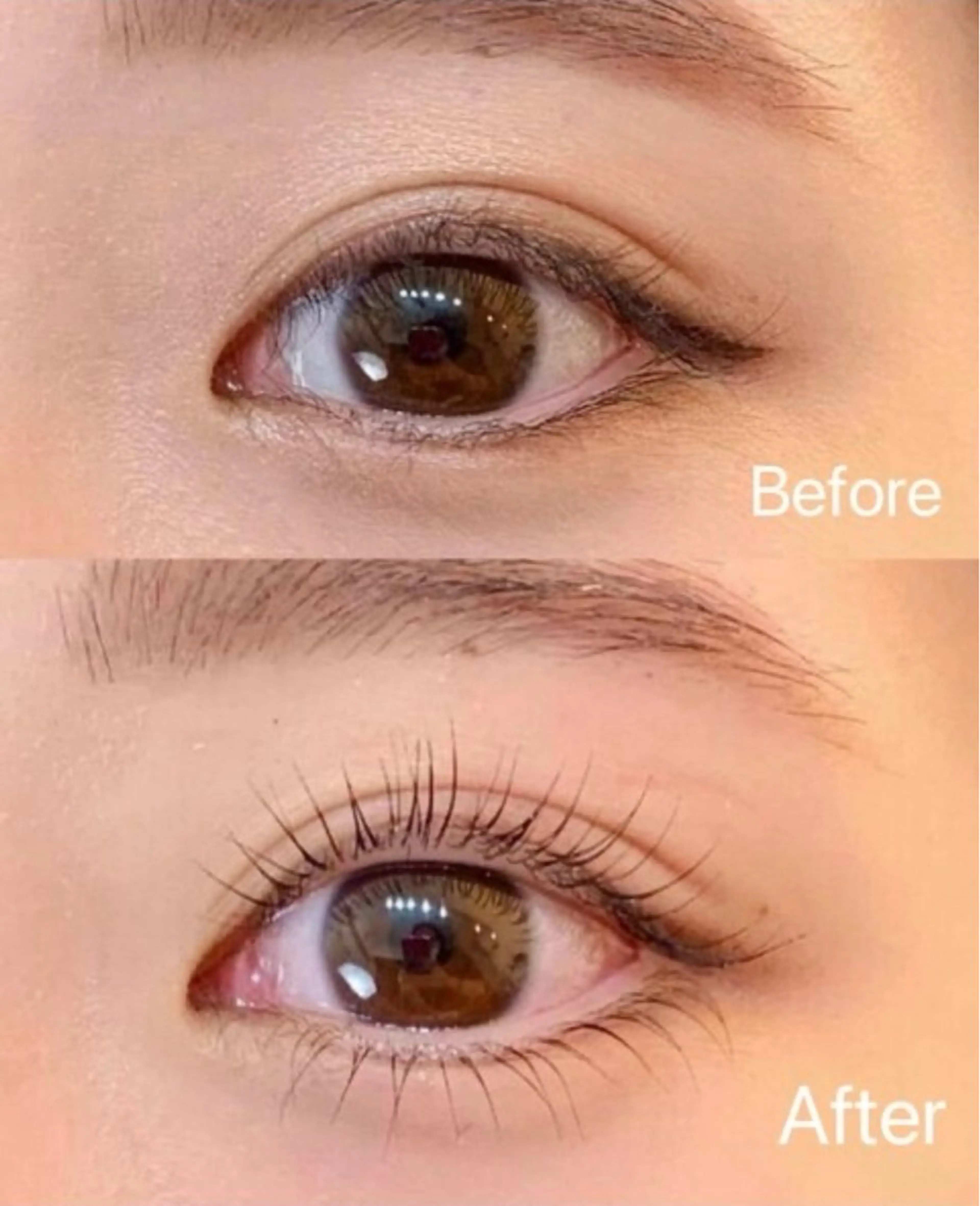 マツエク・マツパ マツパ The Nail & Eye Lashのその他イメージ