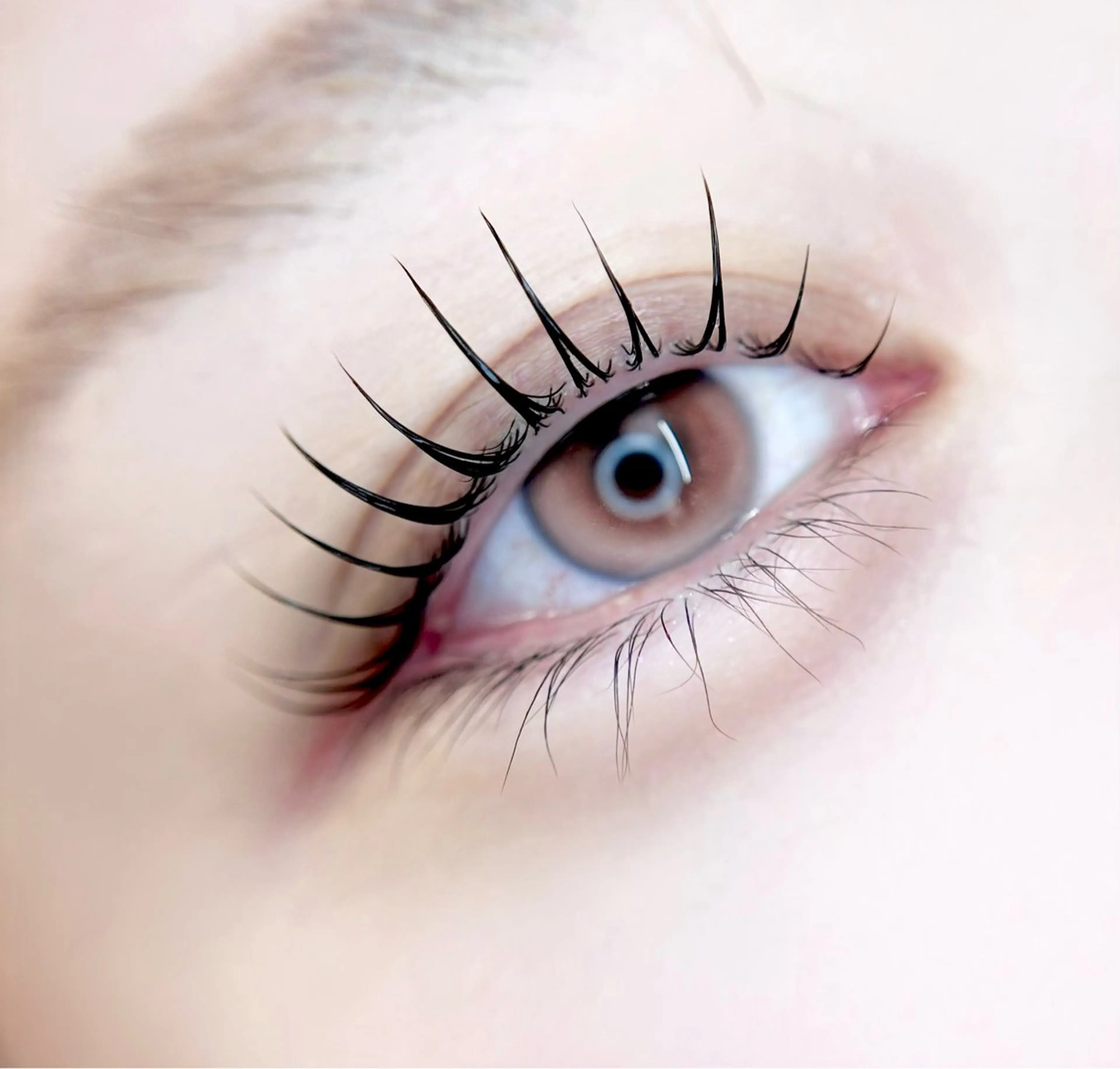 マツエク・マツパ マツパ eyelist. mizuki🐈‍⬛のマツエク・マツパデザイン