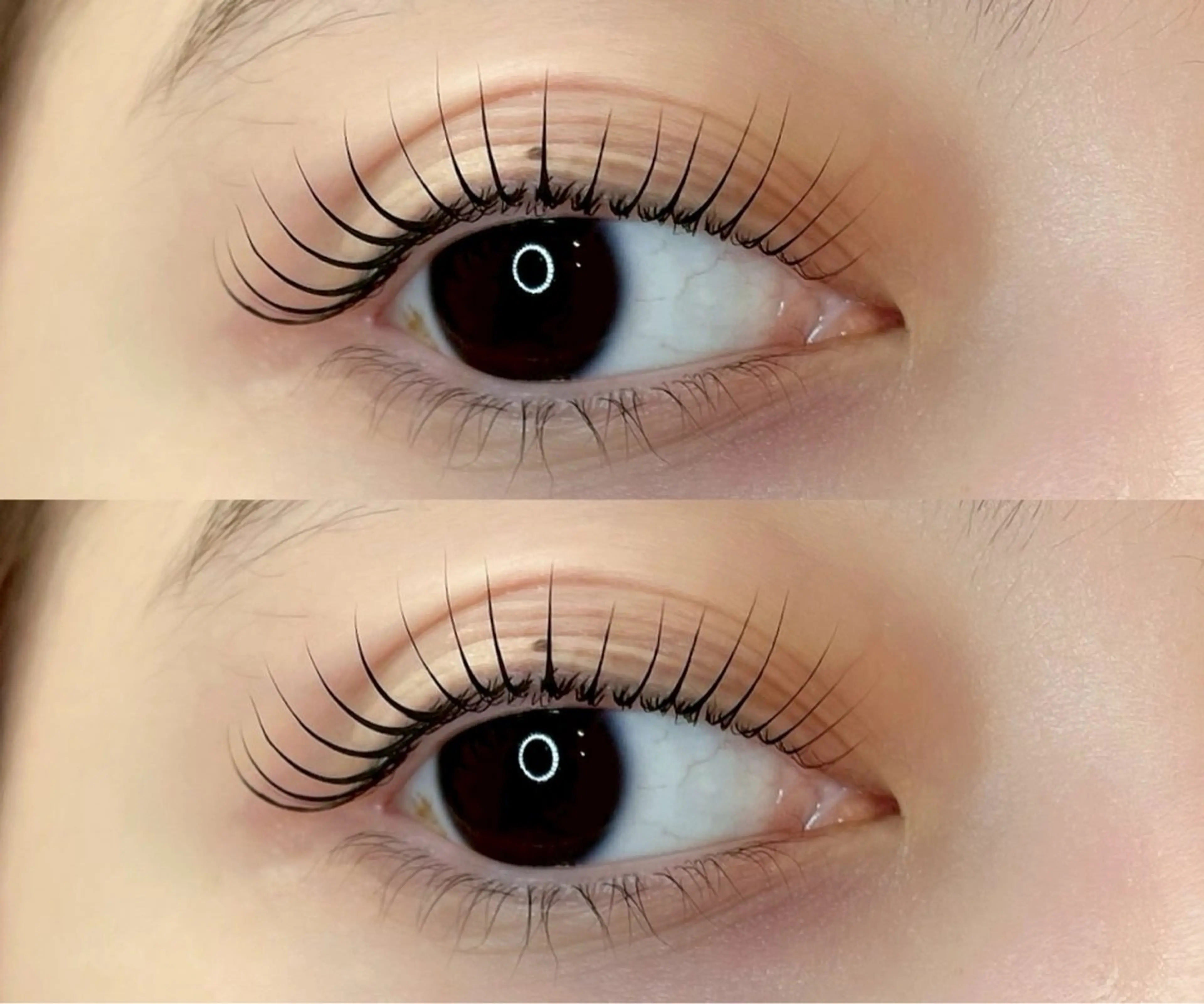 【新規】 パリジェンヌorメーテルロッド◎韓国束感仕上げ🎀の写真