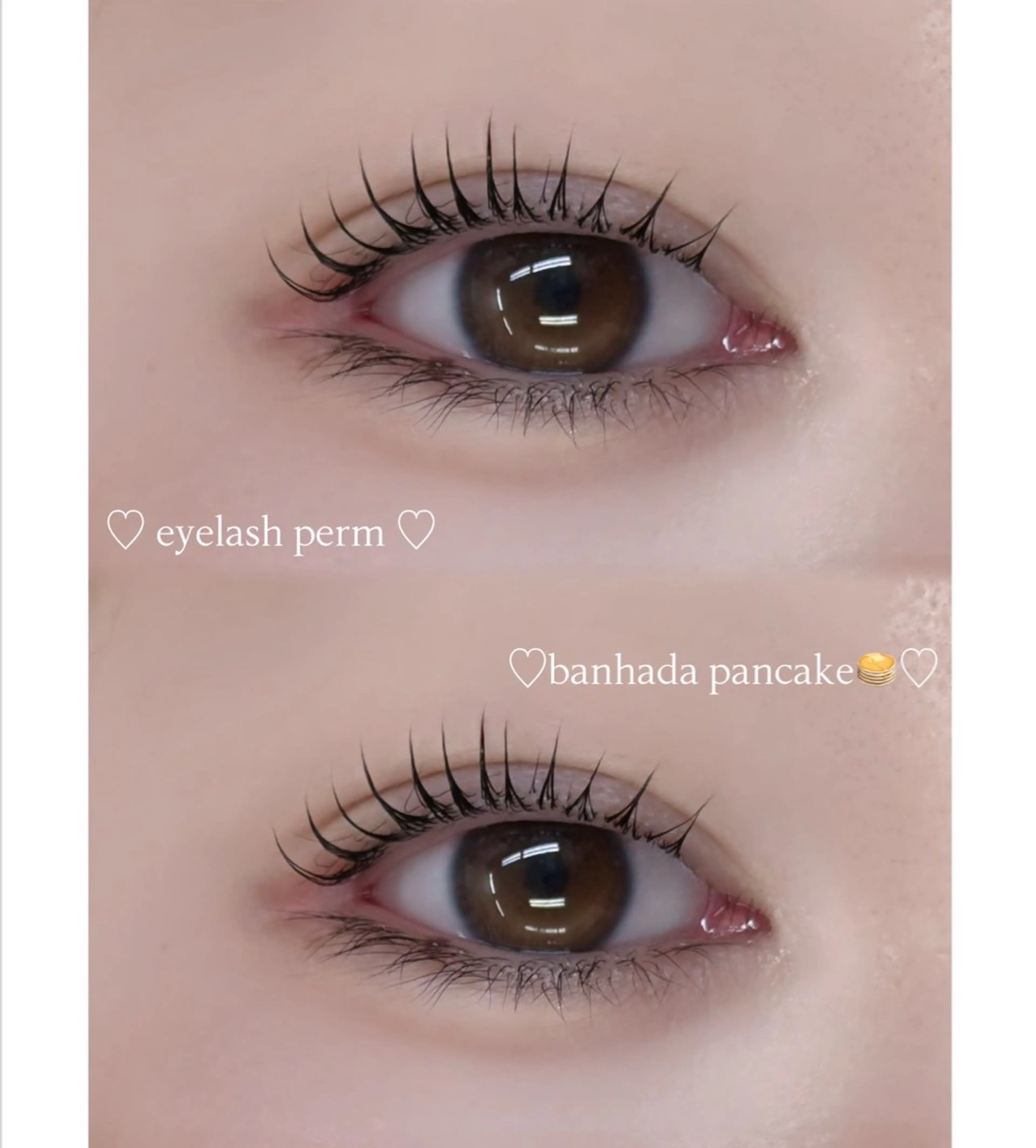 マツエク・マツパ 韓国風マツエク eyemor.春日井 水野のエステ・リラクイメージ