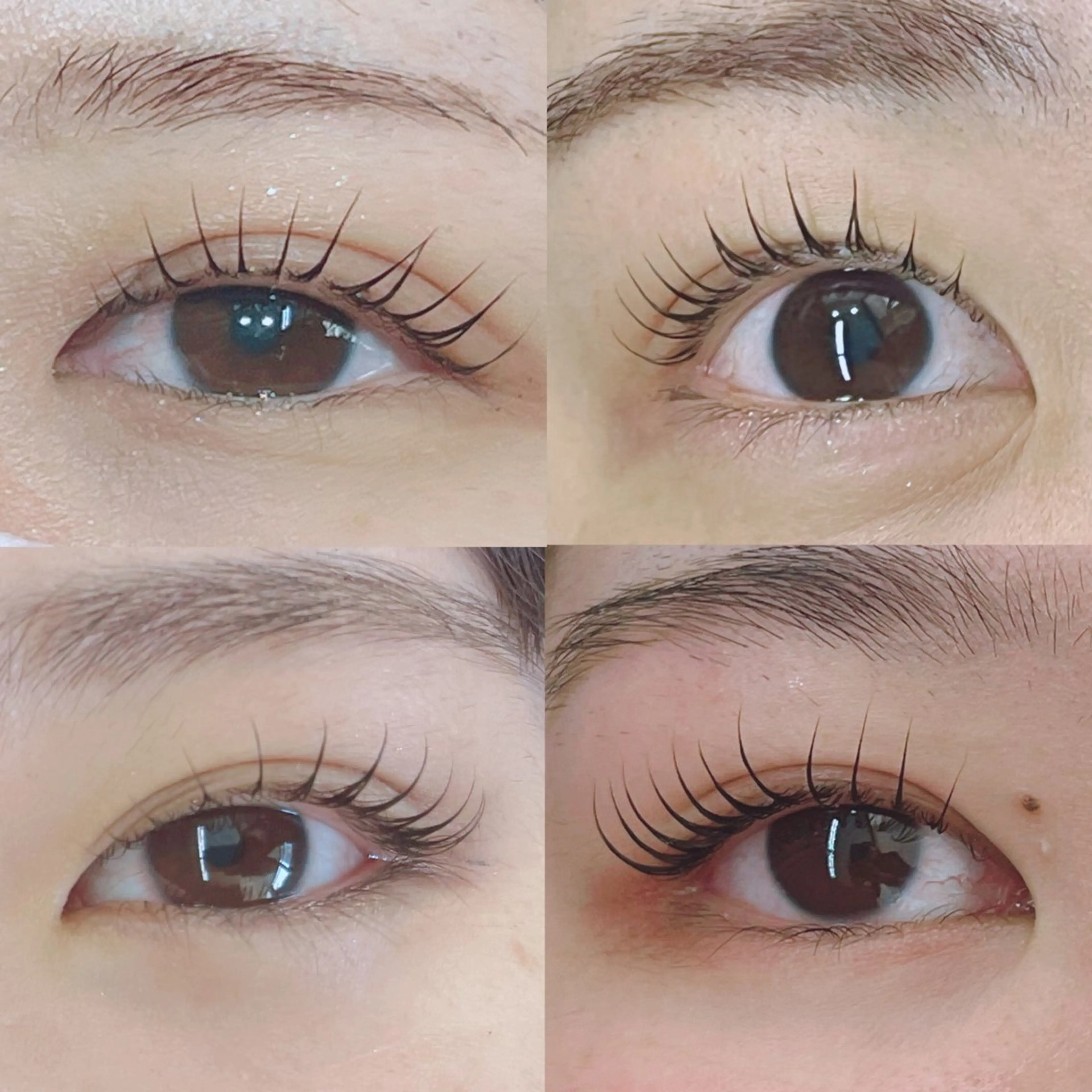 マツエク・マツパ Lupines🐱 SHIHORIのマツエク・マツパデザイン