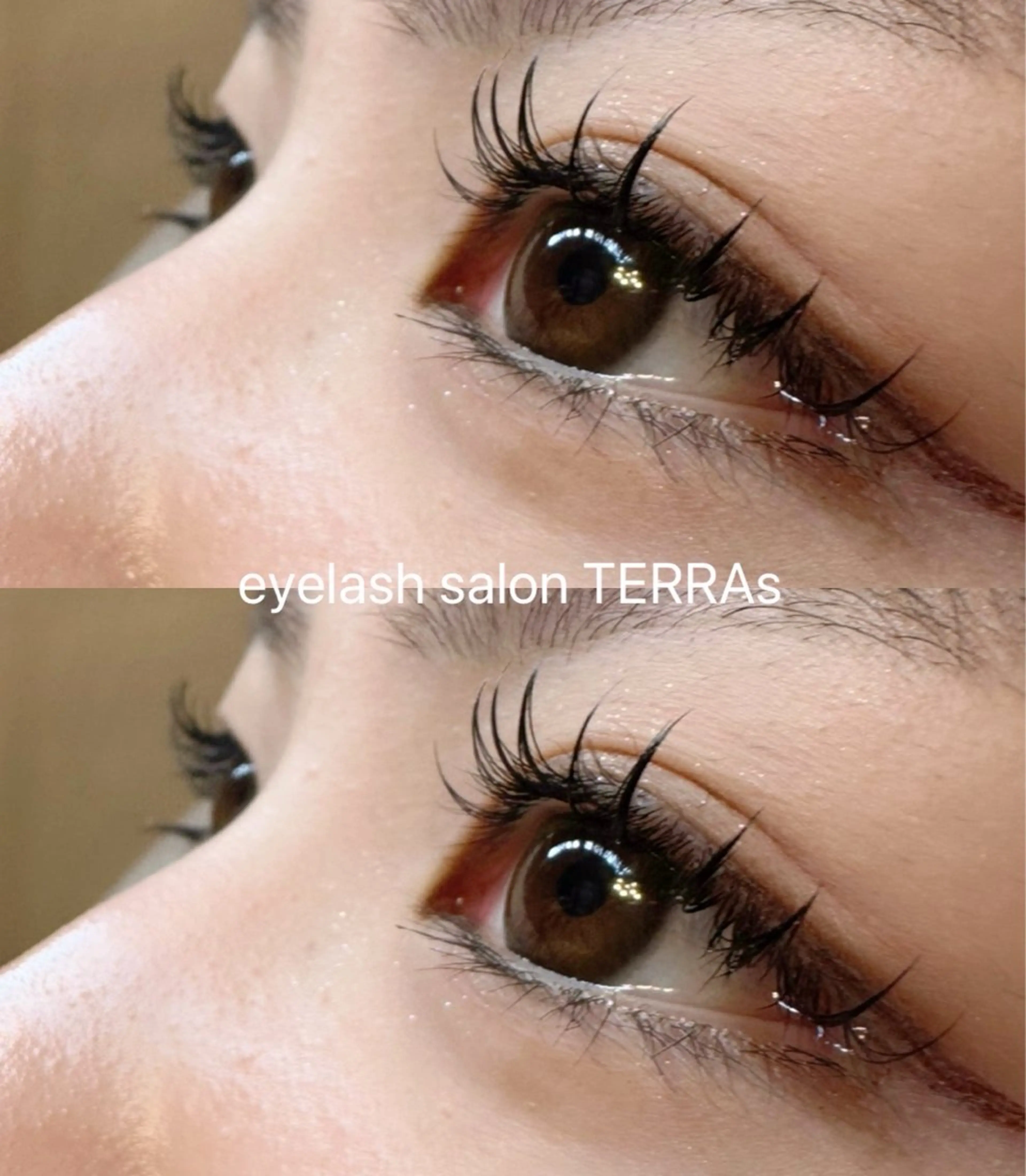 マツエク・マツパ Dカール フラットラッシュ TERRAs 蕨 / hitomi🐰のマツエク・マツパデザイン