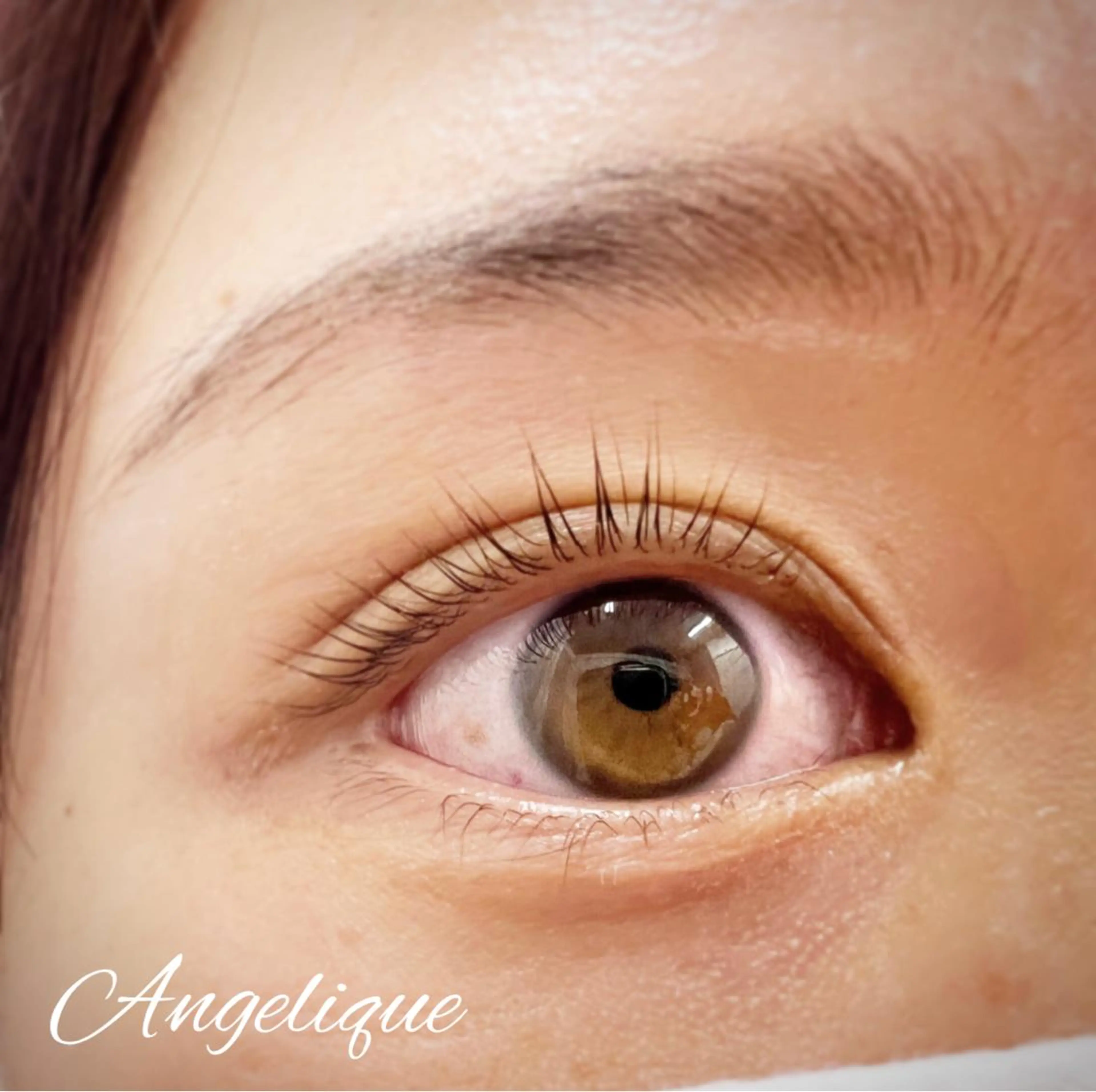 マツエク・マツパ 一重×まつ毛パーマ 田村 莉子のマツエク・マツパデザイン