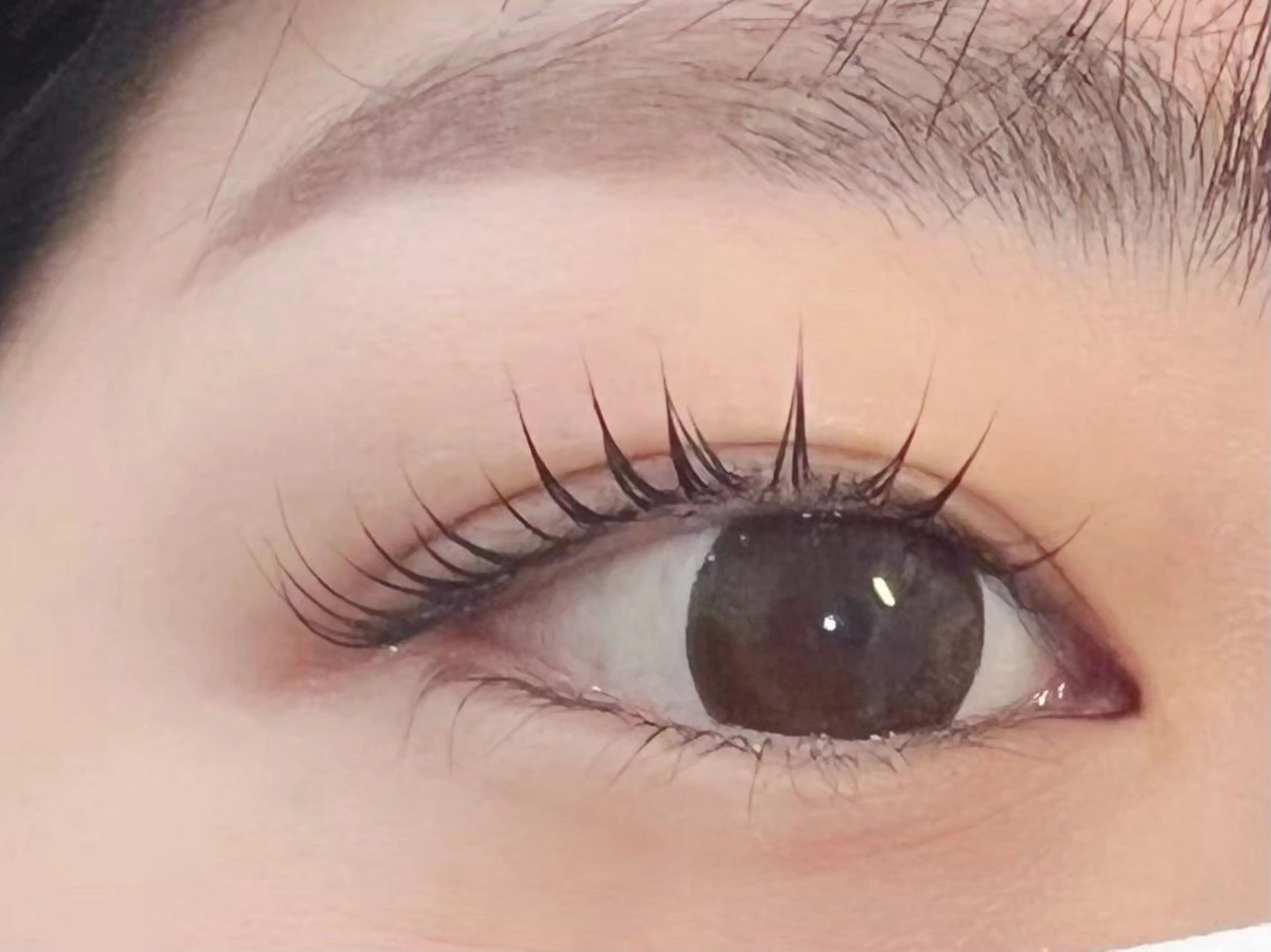 マツエク・マツパ eL エル　京都西院店所属・eL 田中のマツエク・マツパデザイン