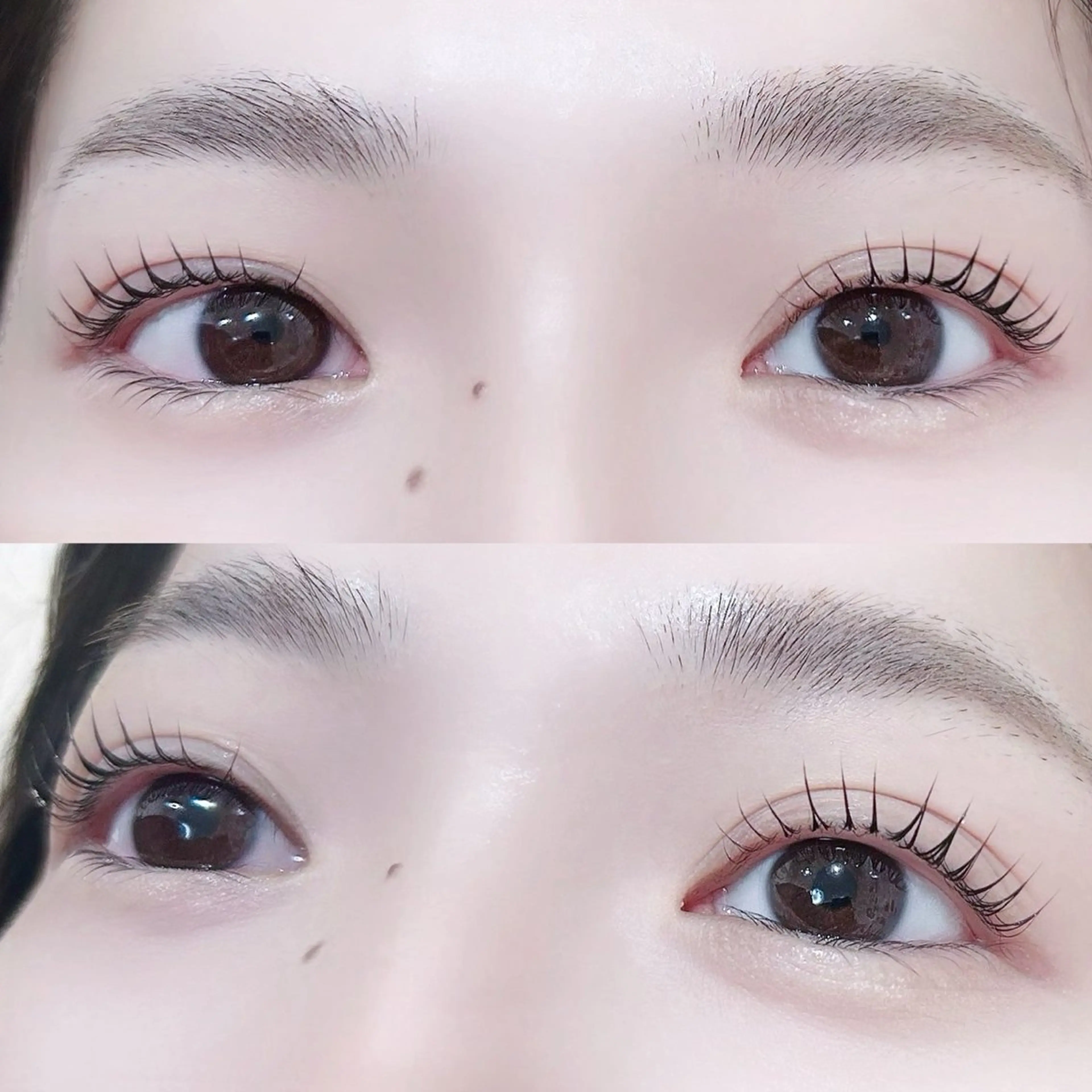 マツエク・マツパ 艶カラー/マツエク /似合わせ🤍ななえのマツエク・マツパデザイン