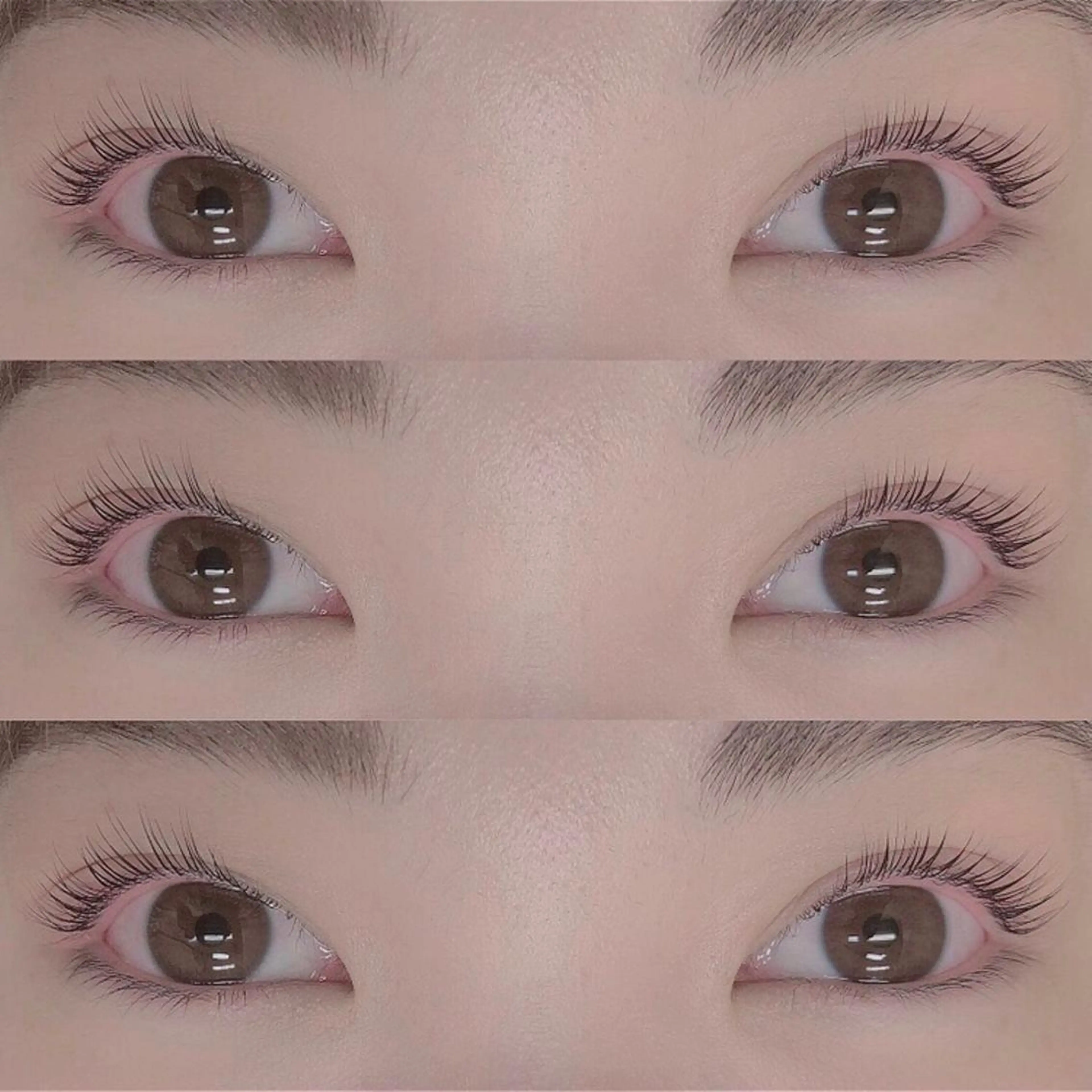 【初回限定】パリジェンヌ🎠🏳️‍⚧️　￥3,900の写真