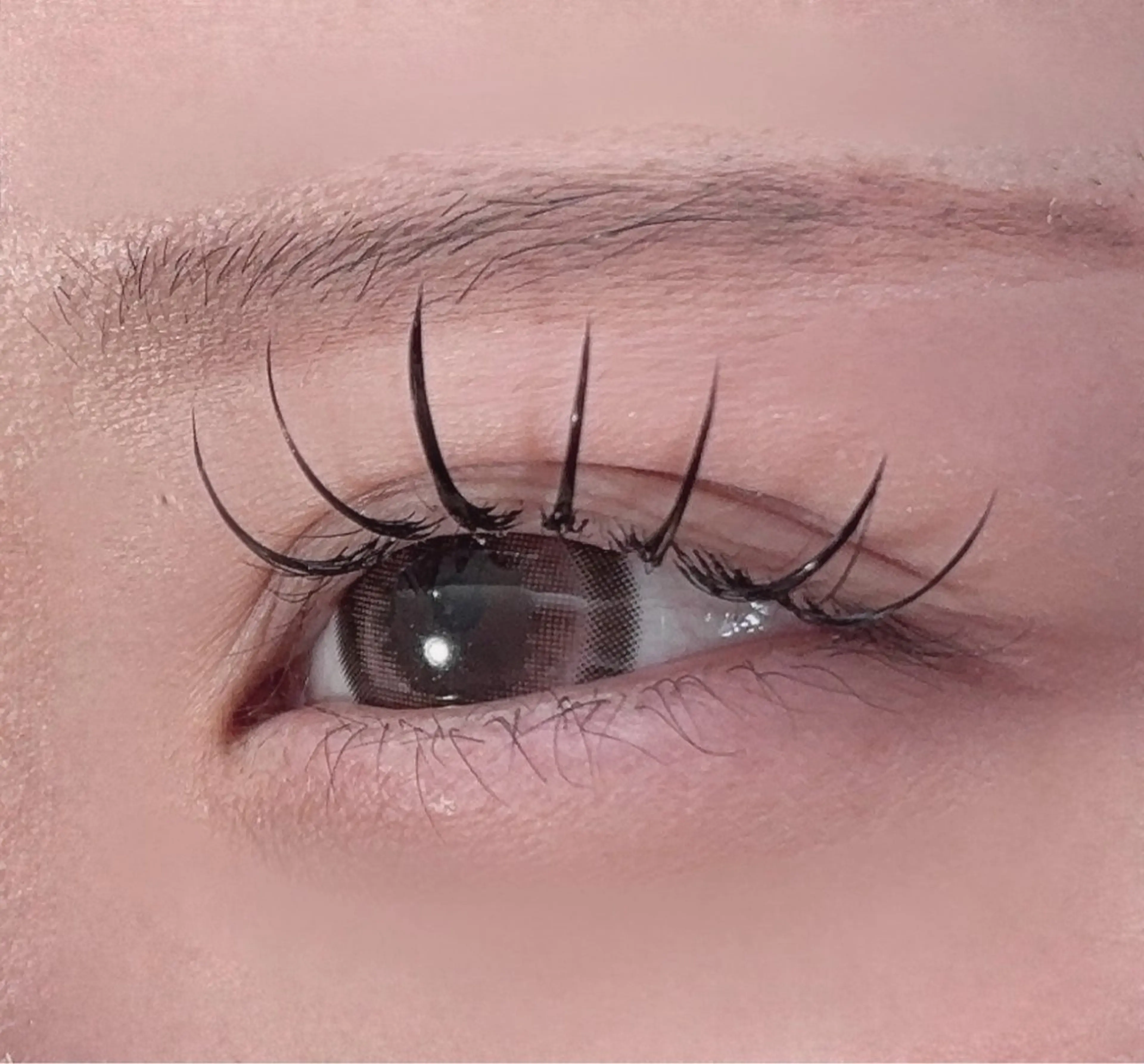 【LEDエクステ💖✨️】フラット120本 ♪の写真