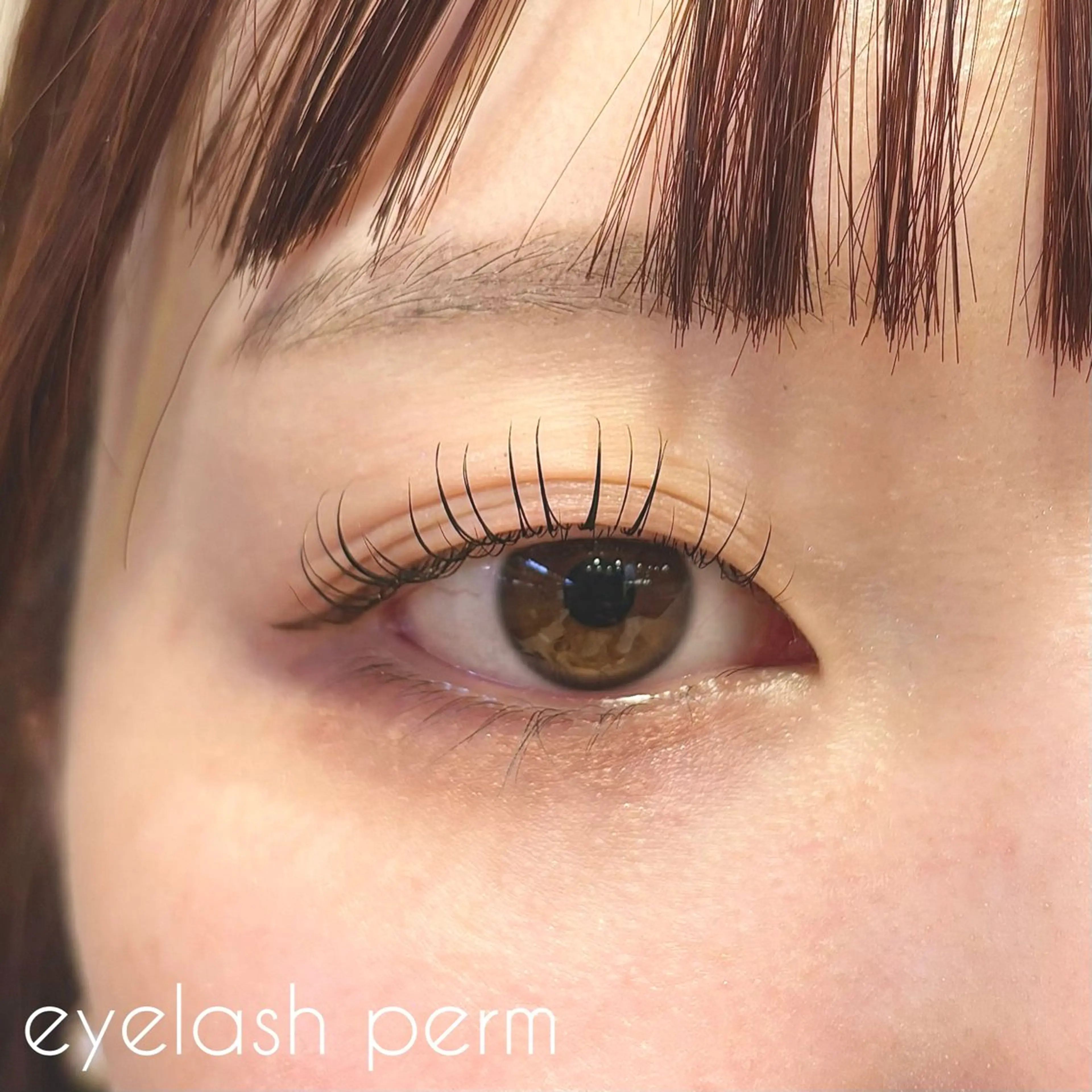 マツエク・マツパ パリジェンヌラッシュリフト ✧elpatio✧︎ 小出紗羅のマツエク・マツパデザイン