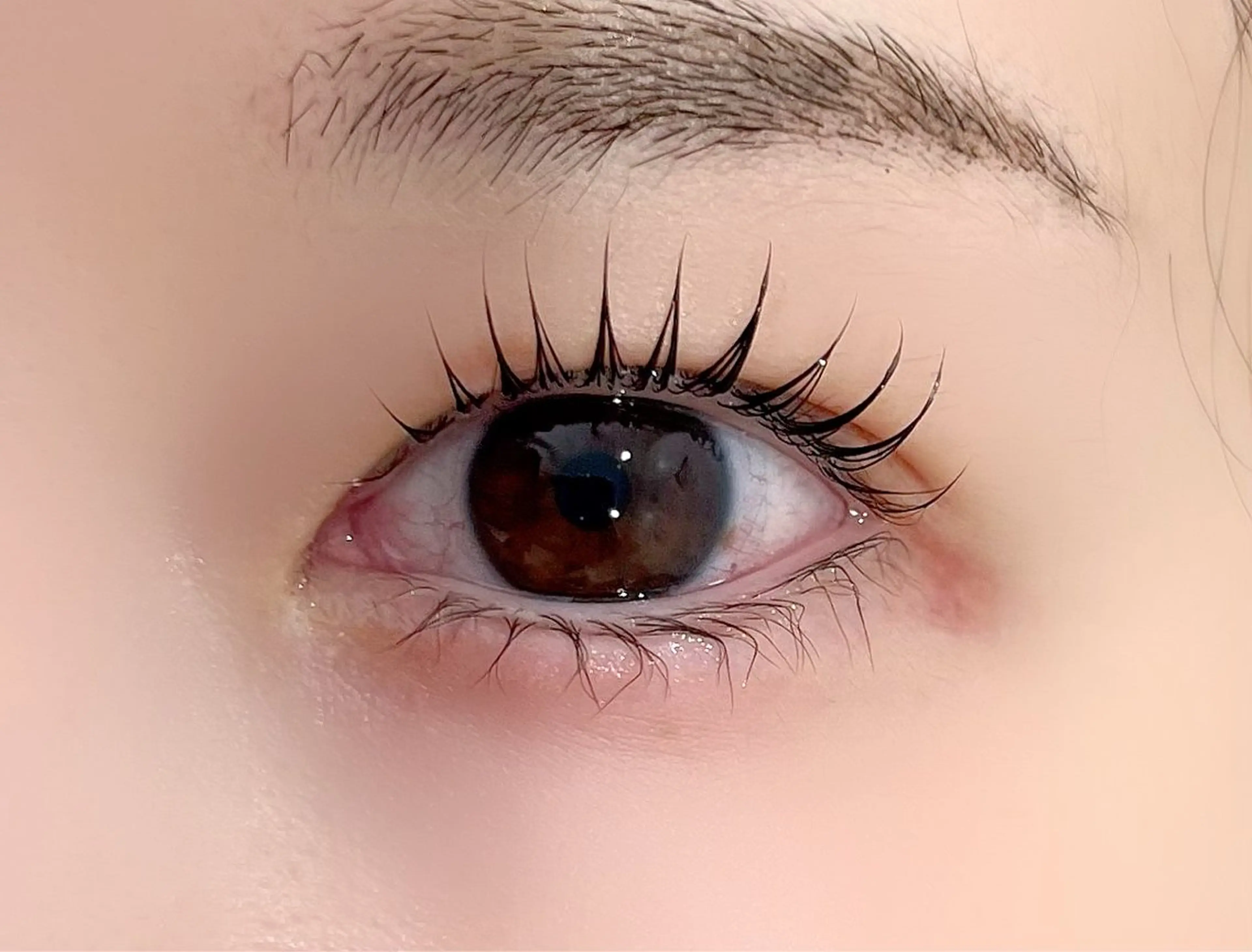 マツエク・マツパ マツパ epill Lenna .🦋のマツエク・マツパデザイン