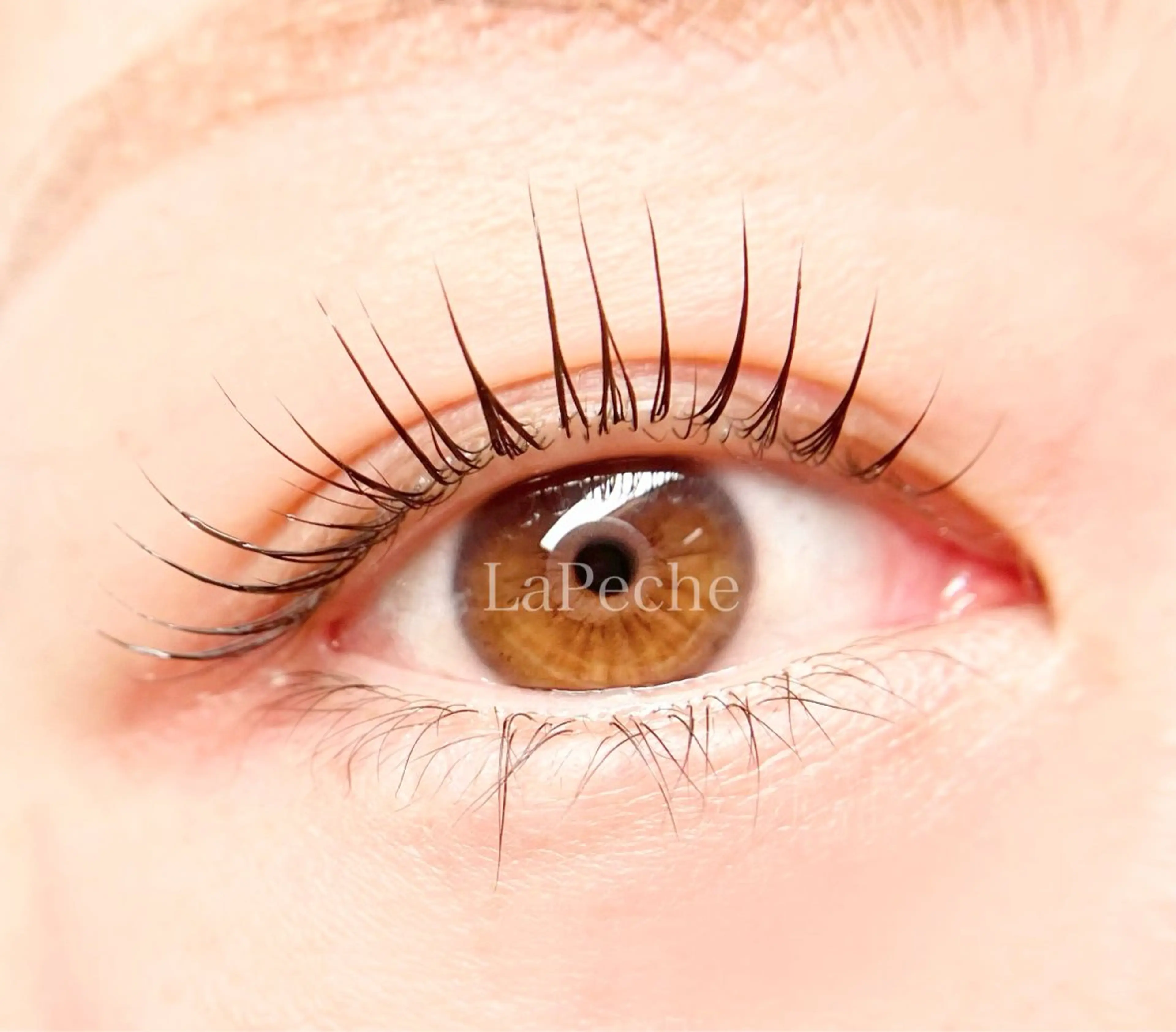 【成人式・前撮りの方限定】上まつ毛パーマの写真