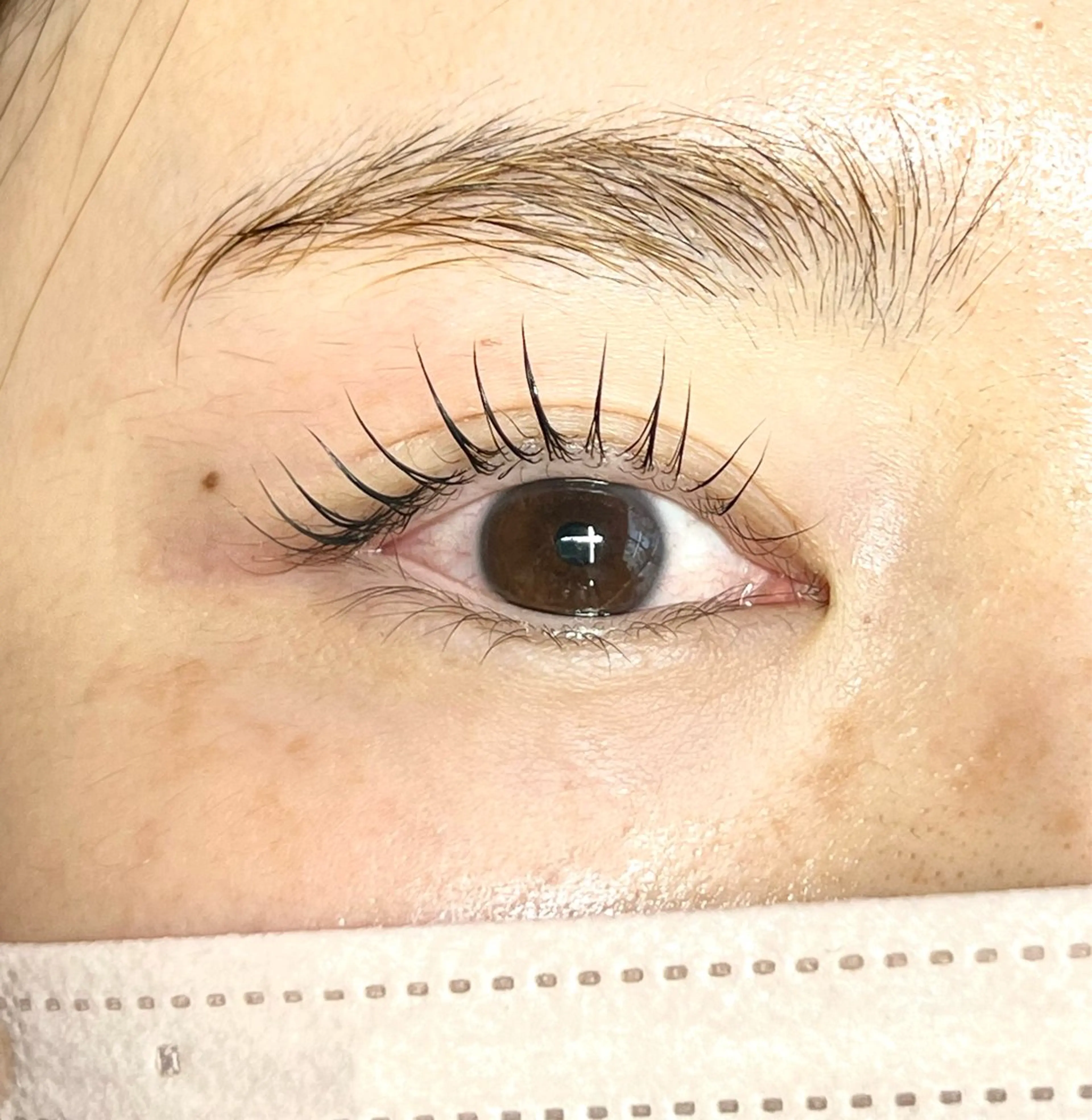 【まつげパーマ🪄】美まつげパーマ(上のみ)の写真