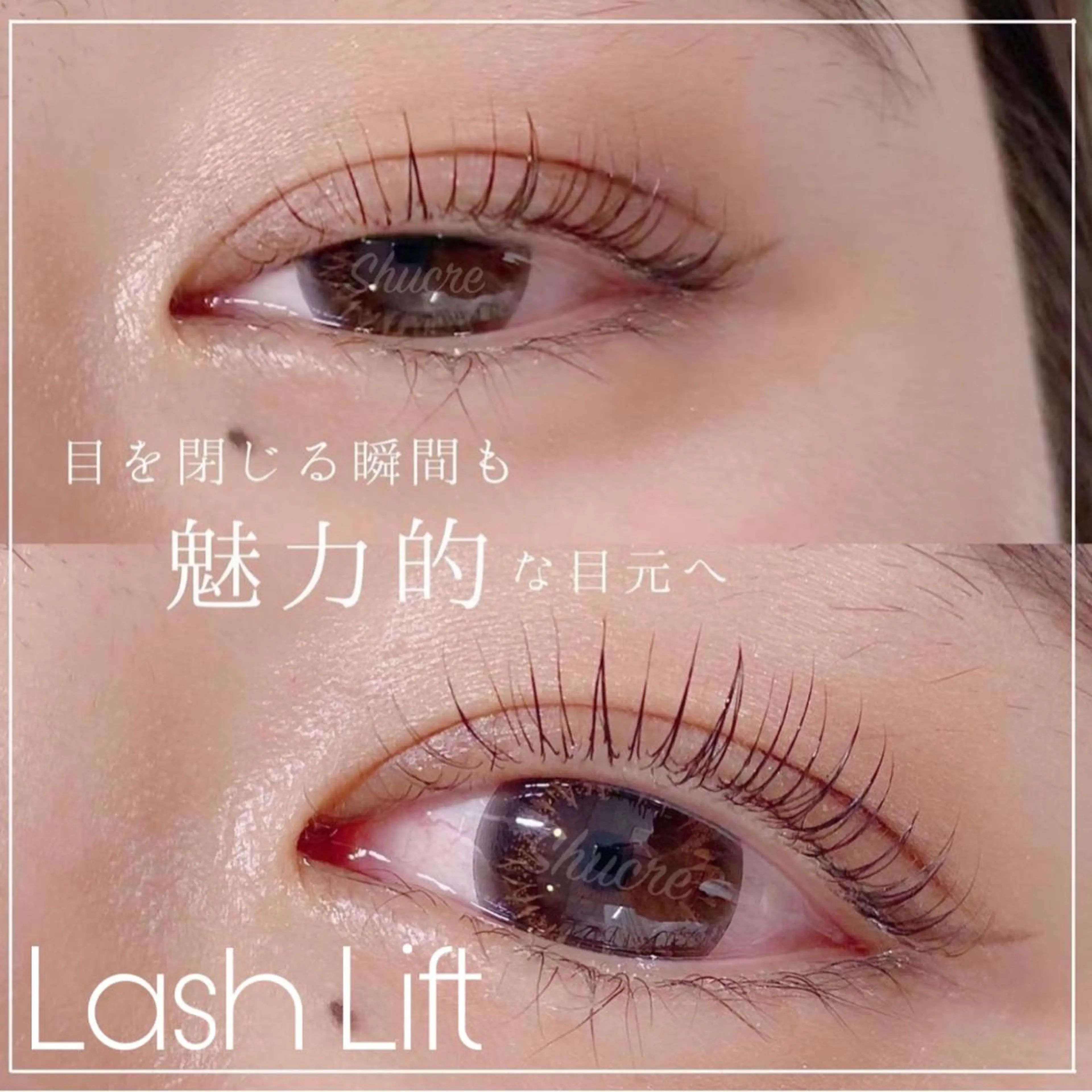 マツエク・マツパ Shucre栄店🤍 Rikaのマツエク・マツパデザイン