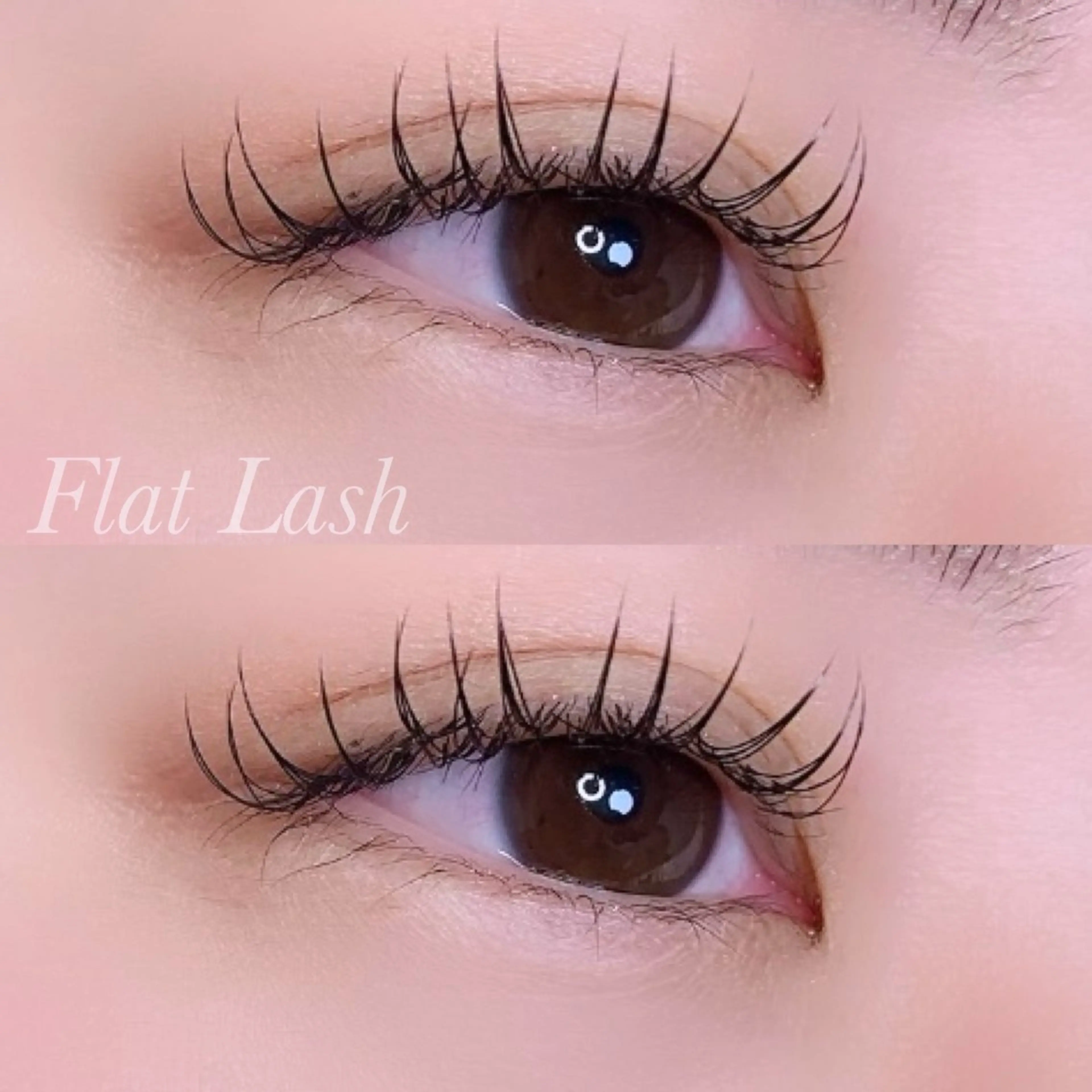 マツエク・マツパ Cカール フラットラッシュ マツエク Ayumi.pro 🍆N《4階》のマツエク・マツパデザイン