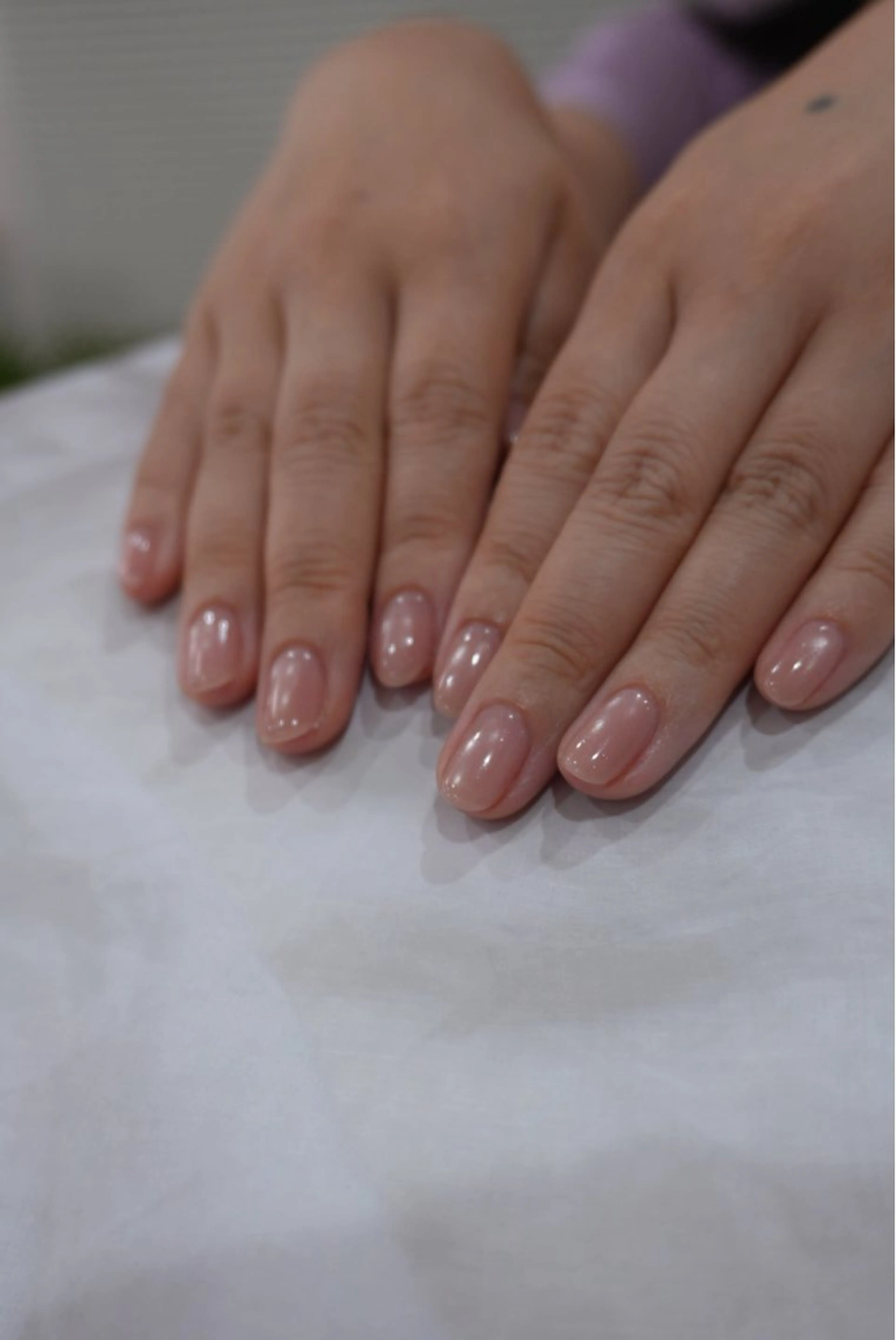 Magnet / mirrorの写真