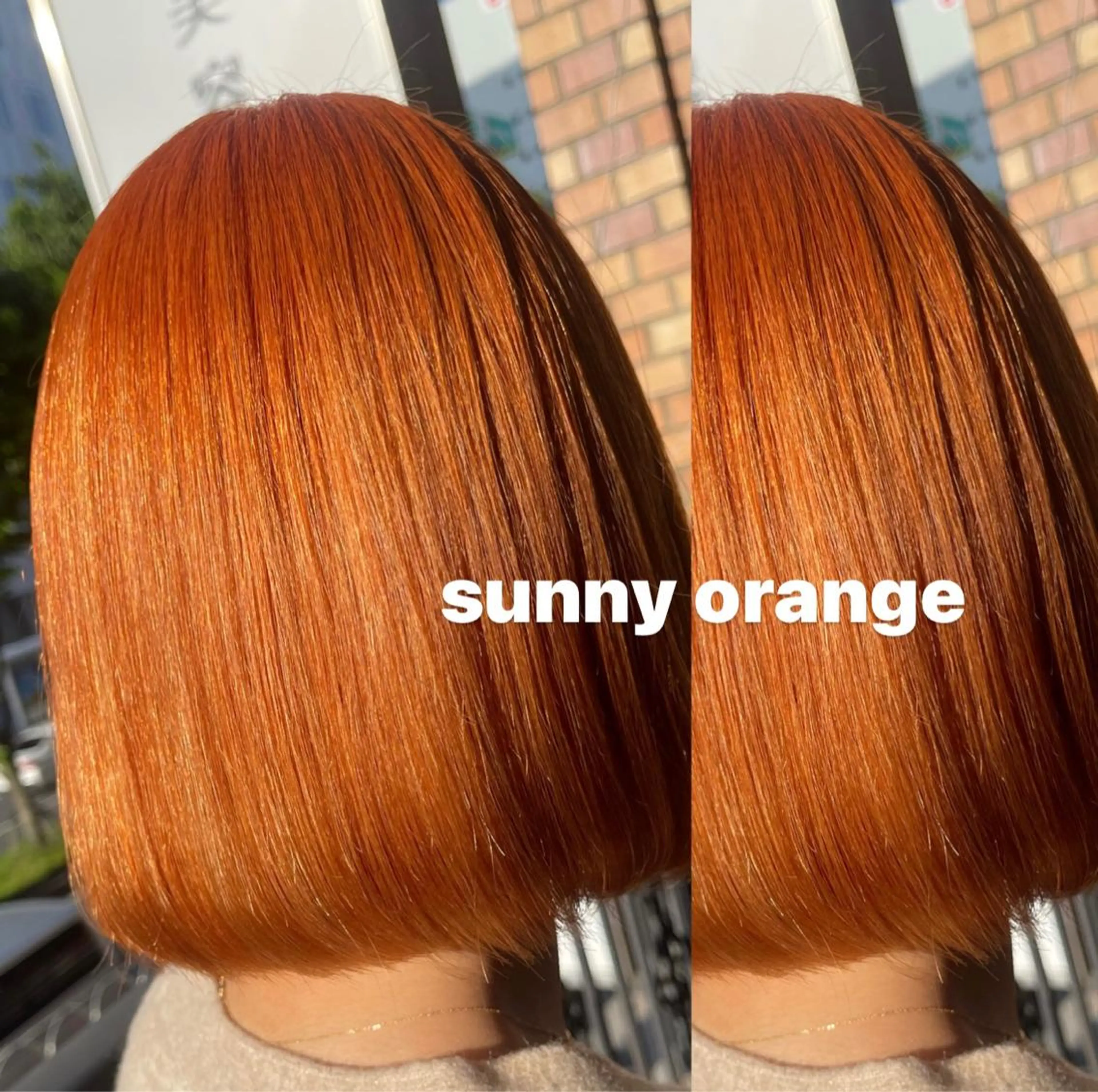 カラー バレイヤージュ 黒髪 ブリーチ ブルーカラー ブルーブラック ヘアカラー トリートメント 🦋ami/浦和 ブリーチカラー🦋のヘアスタイル